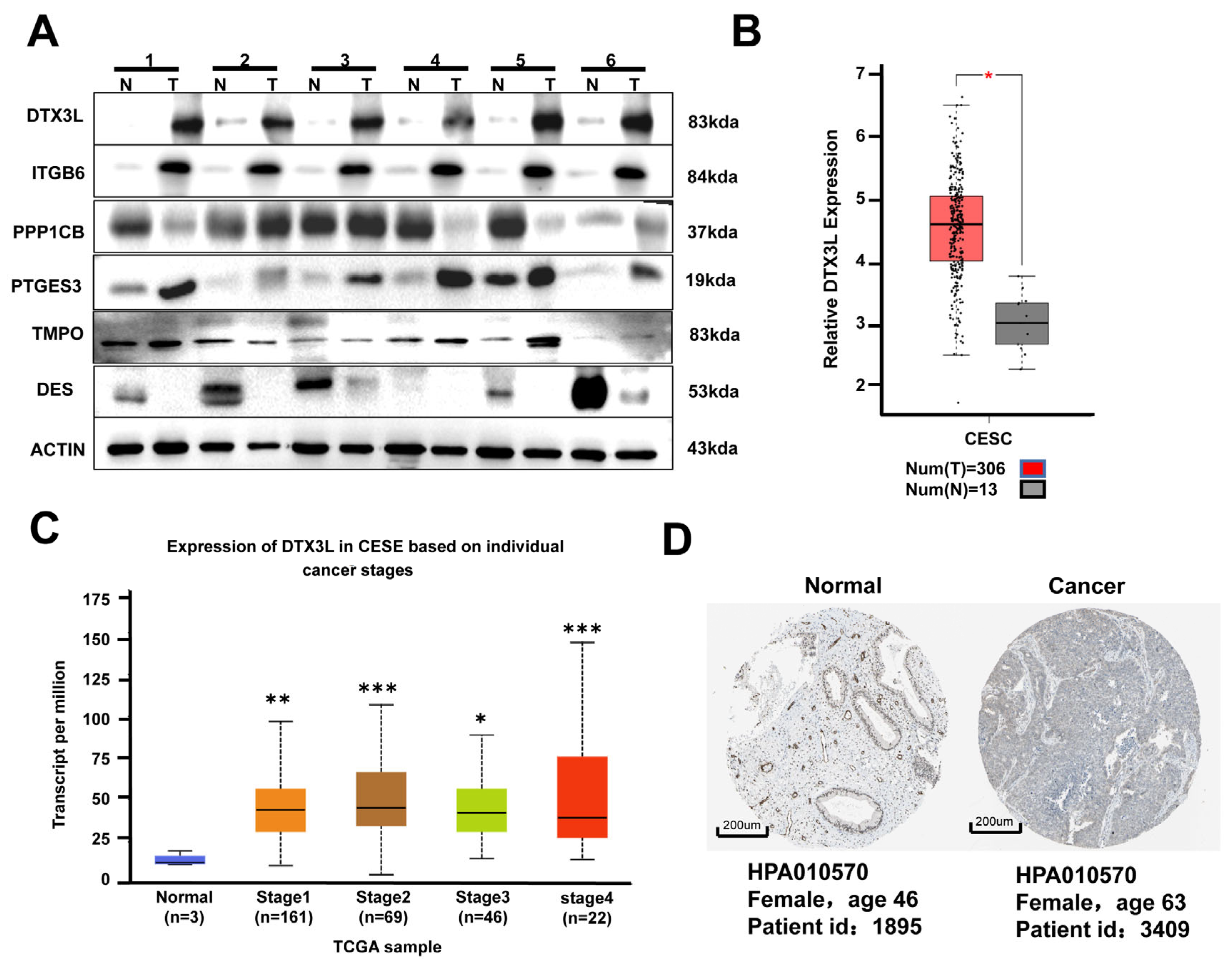 Ijms 24 00861 g002 Ijms 24 00861 g002