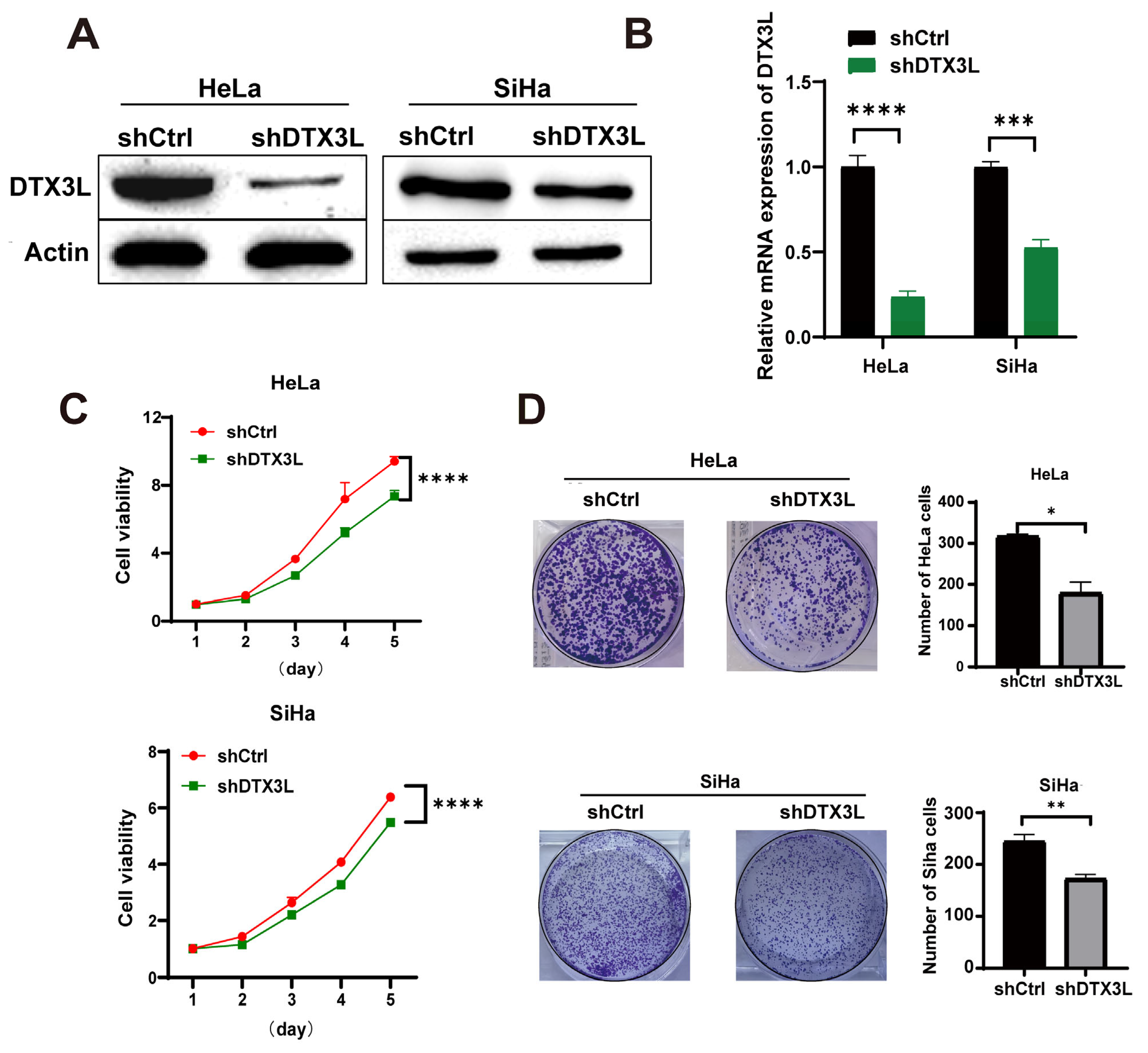Ijms 24 00861 g003 Ijms 24 00861 g003