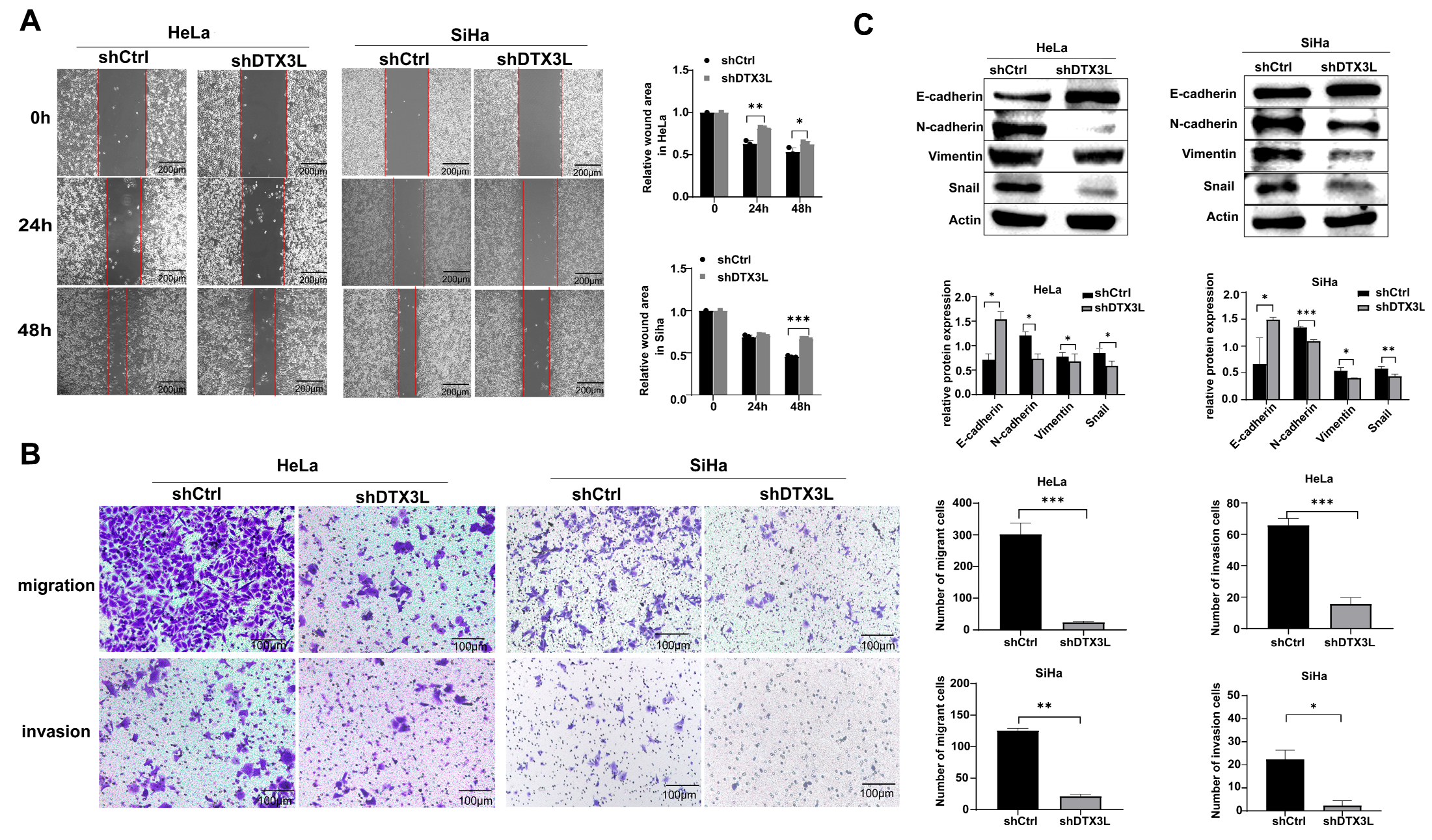 Ijms 24 00861 g004 Ijms 24 00861 g004