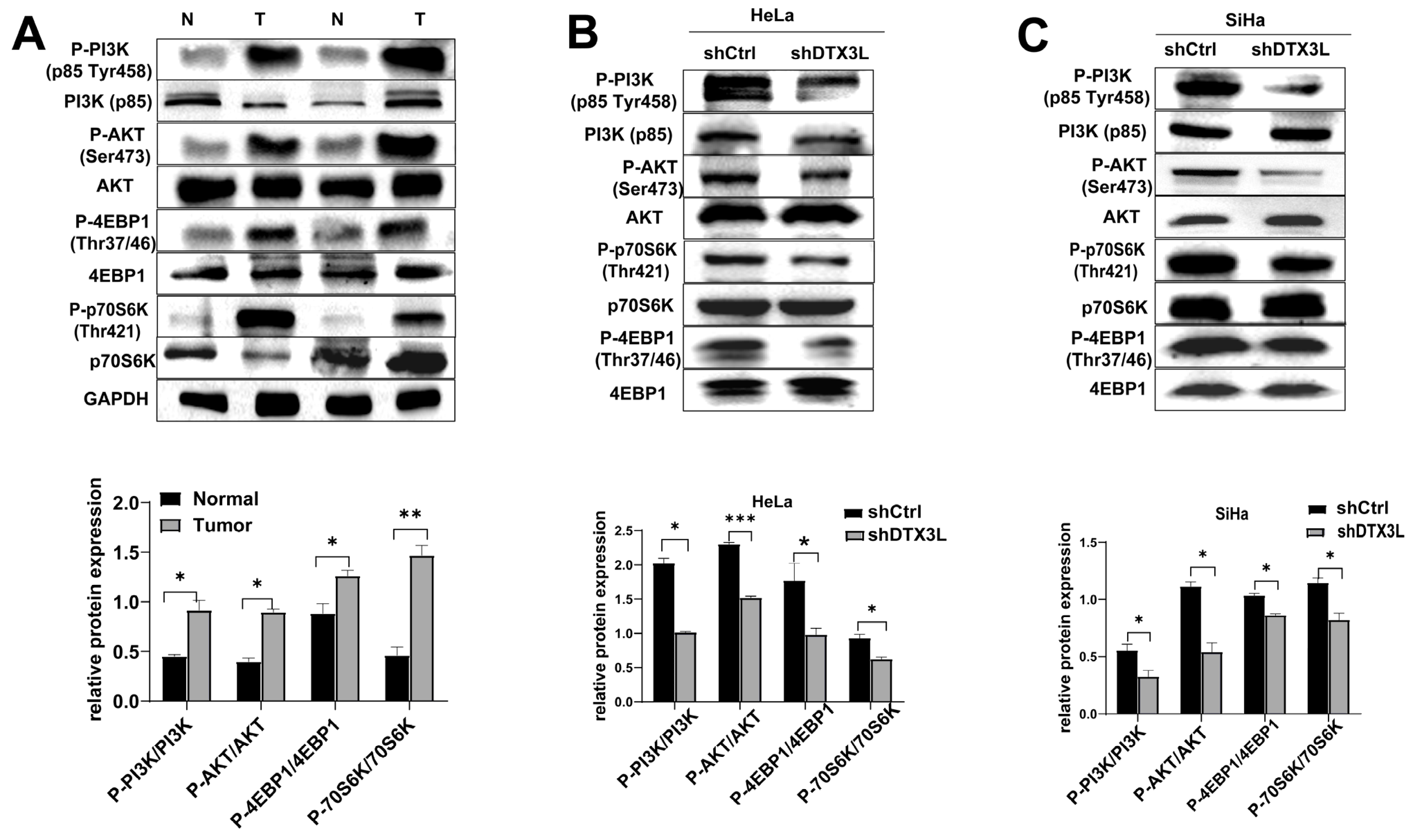 Ijms 24 00861 g007 Ijms 24 00861 g007