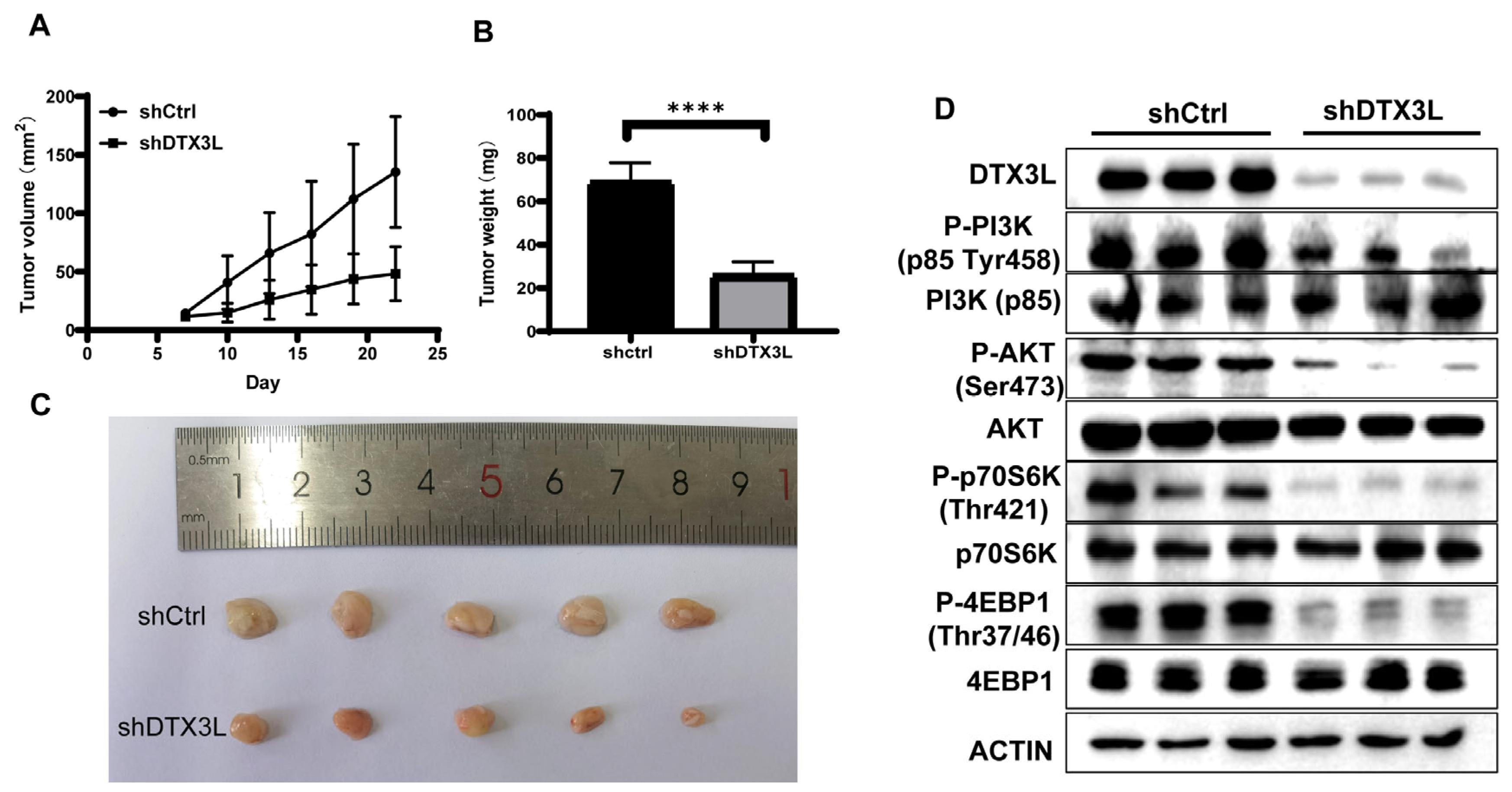 Ijms 24 00861 g008 Ijms 24 00861 g008
