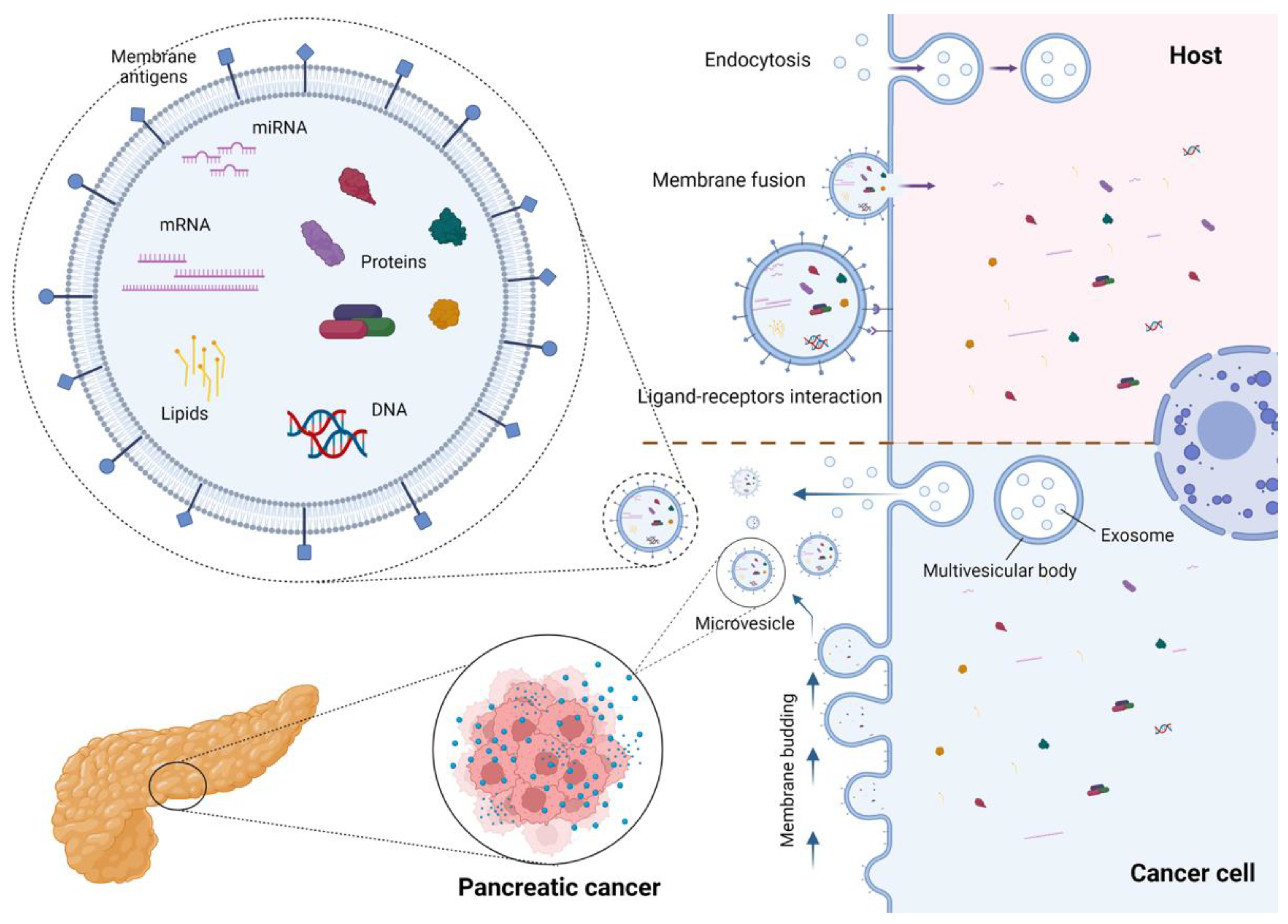 Ijms 24 00885 g001 Ijms 24 00885 g001