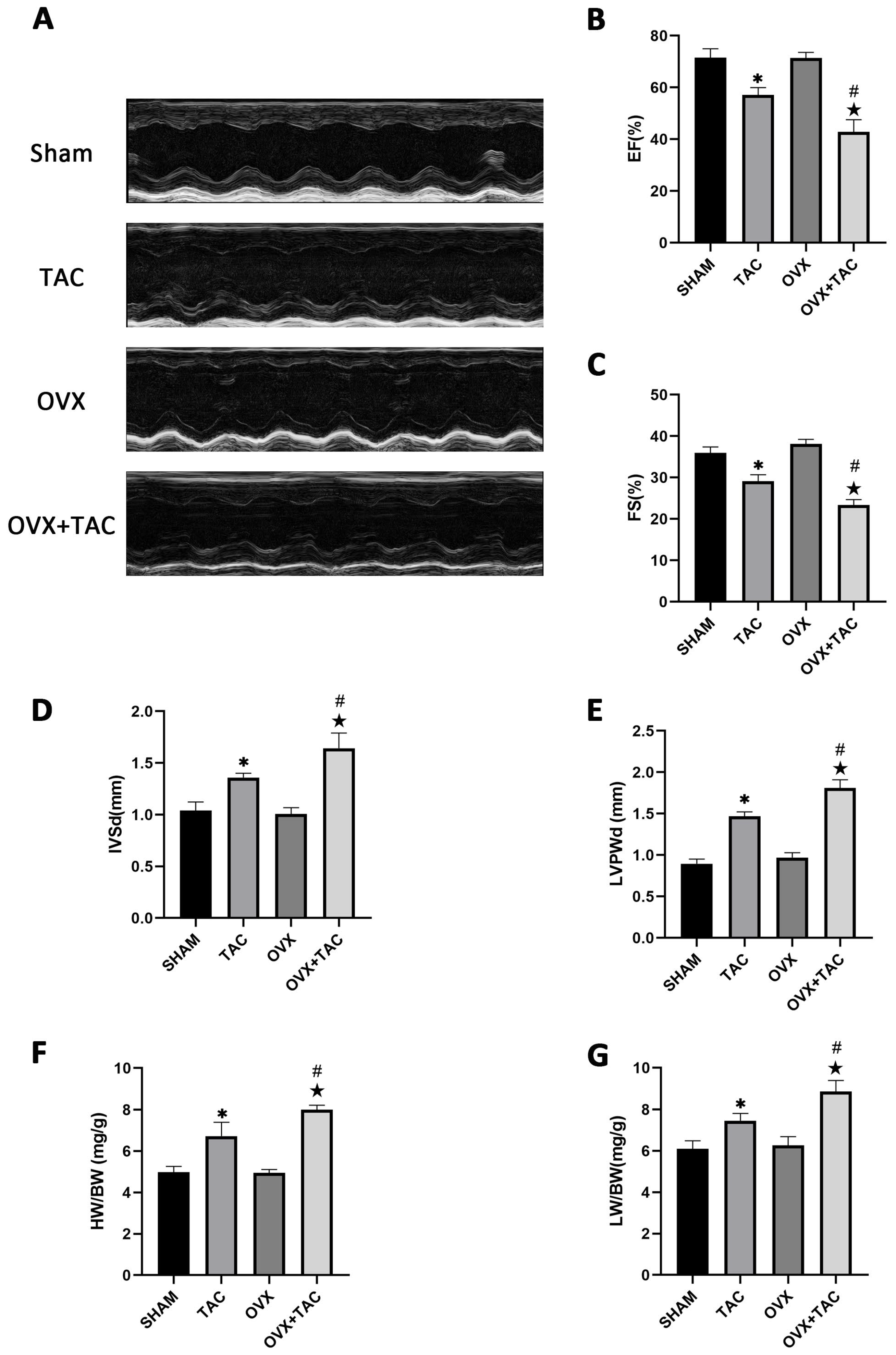 Ijms 24 00904 g002 Ijms 24 00904 g002