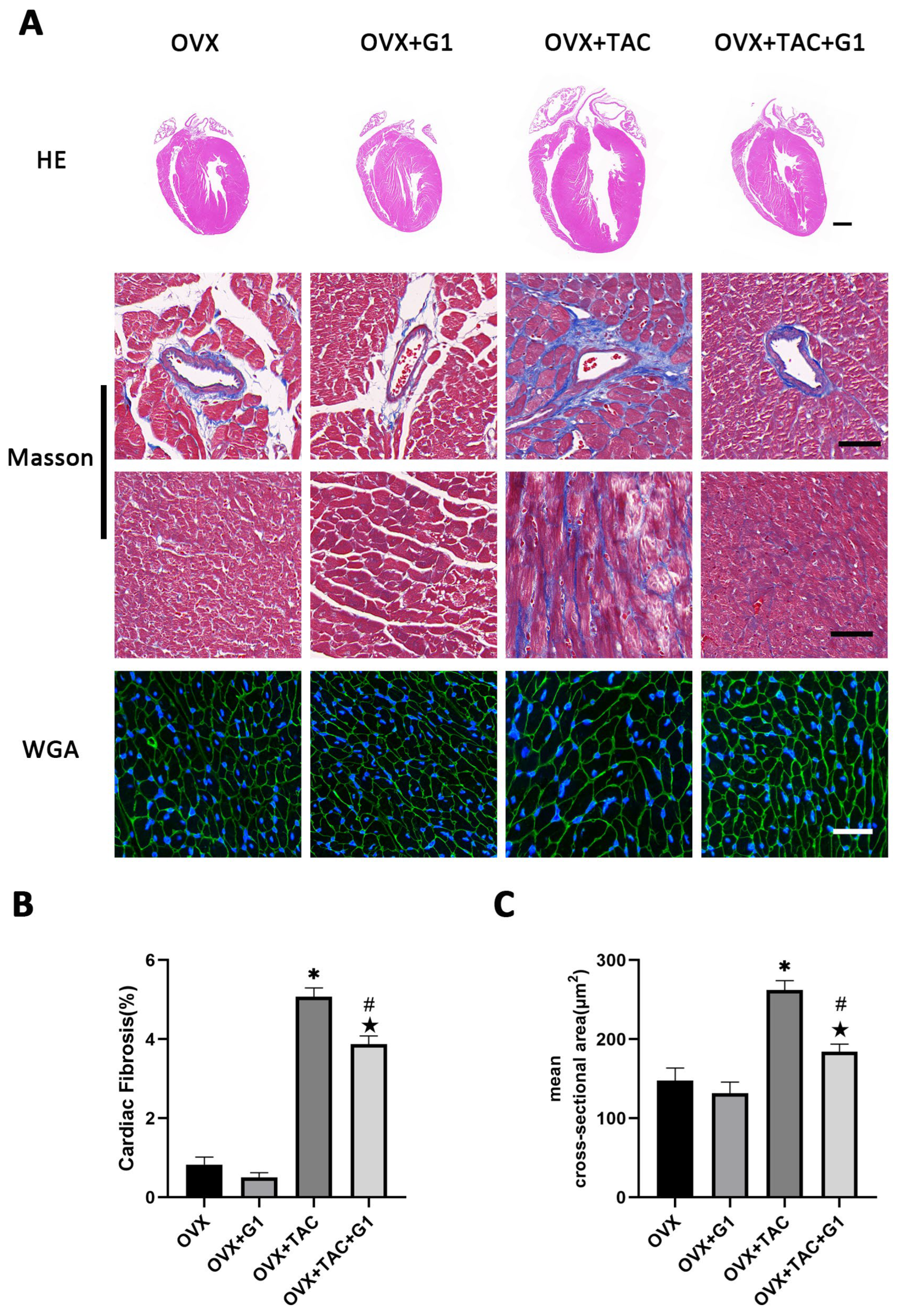 Ijms 24 00904 g003 Ijms 24 00904 g003