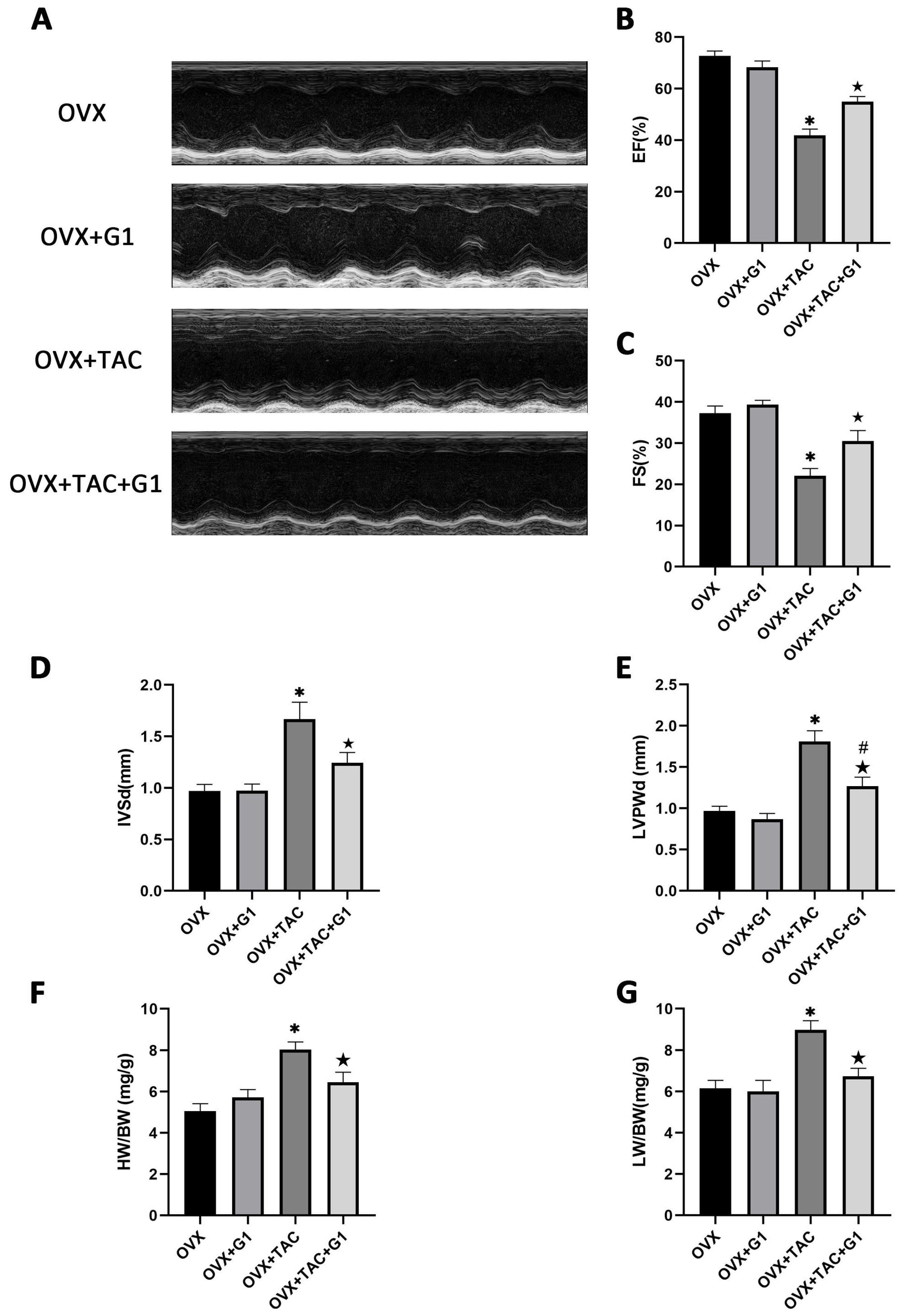 Ijms 24 00904 g004 Ijms 24 00904 g004