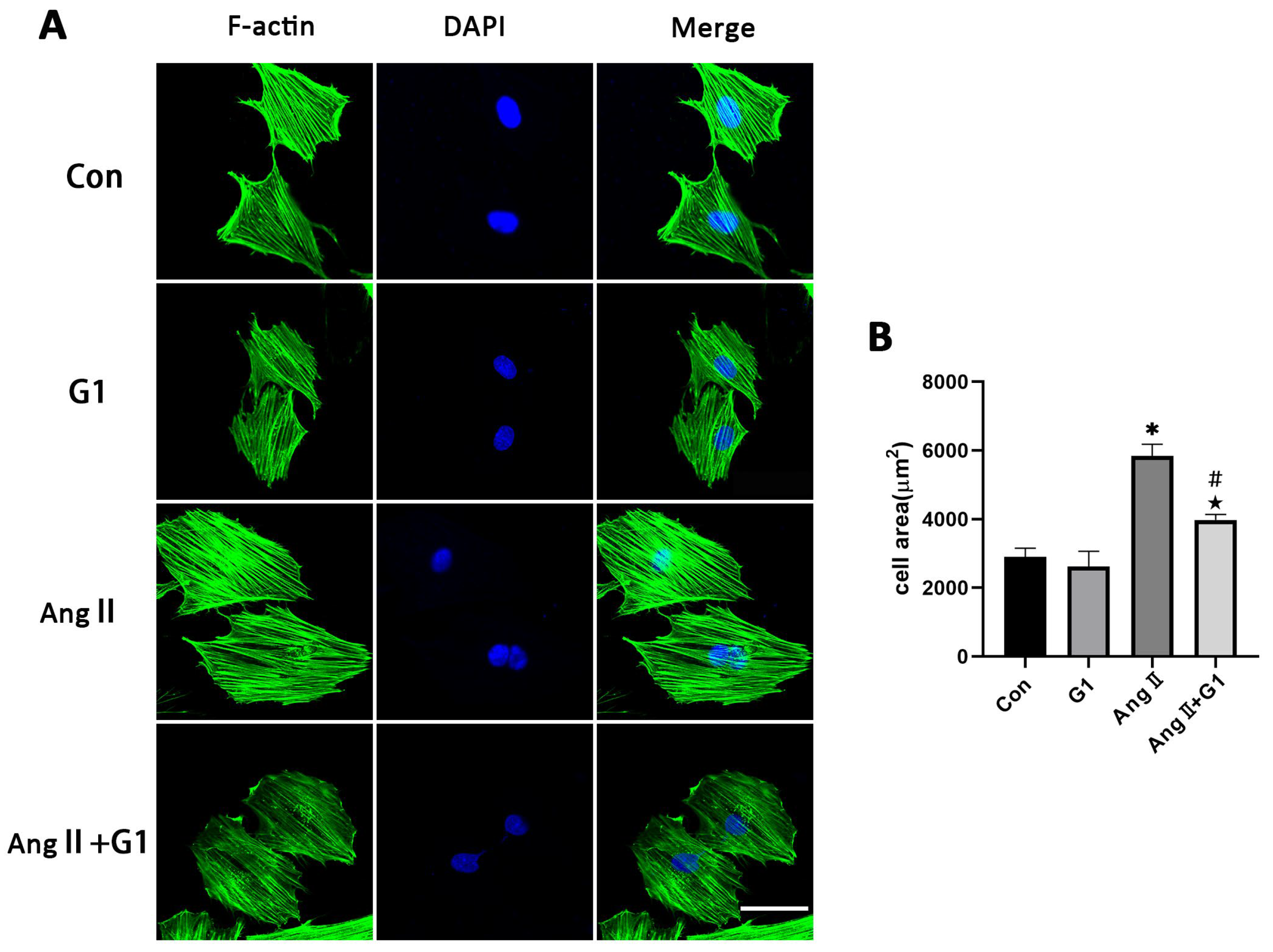 Ijms 24 00904 g006 Ijms 24 00904 g006