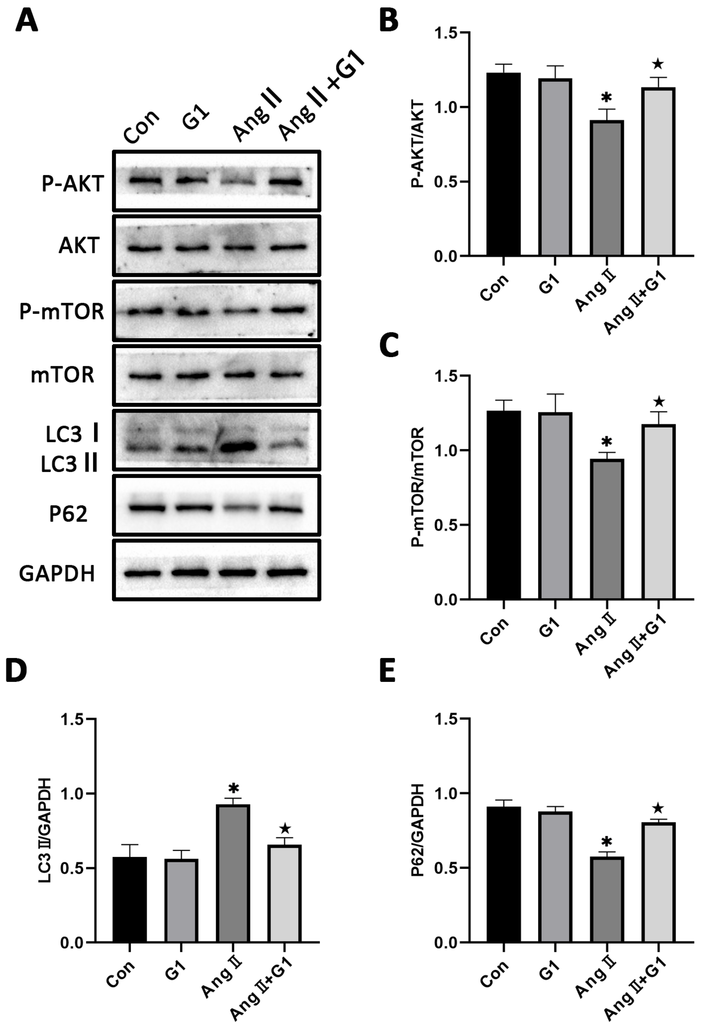 Ijms 24 00904 g007 Ijms 24 00904 g007