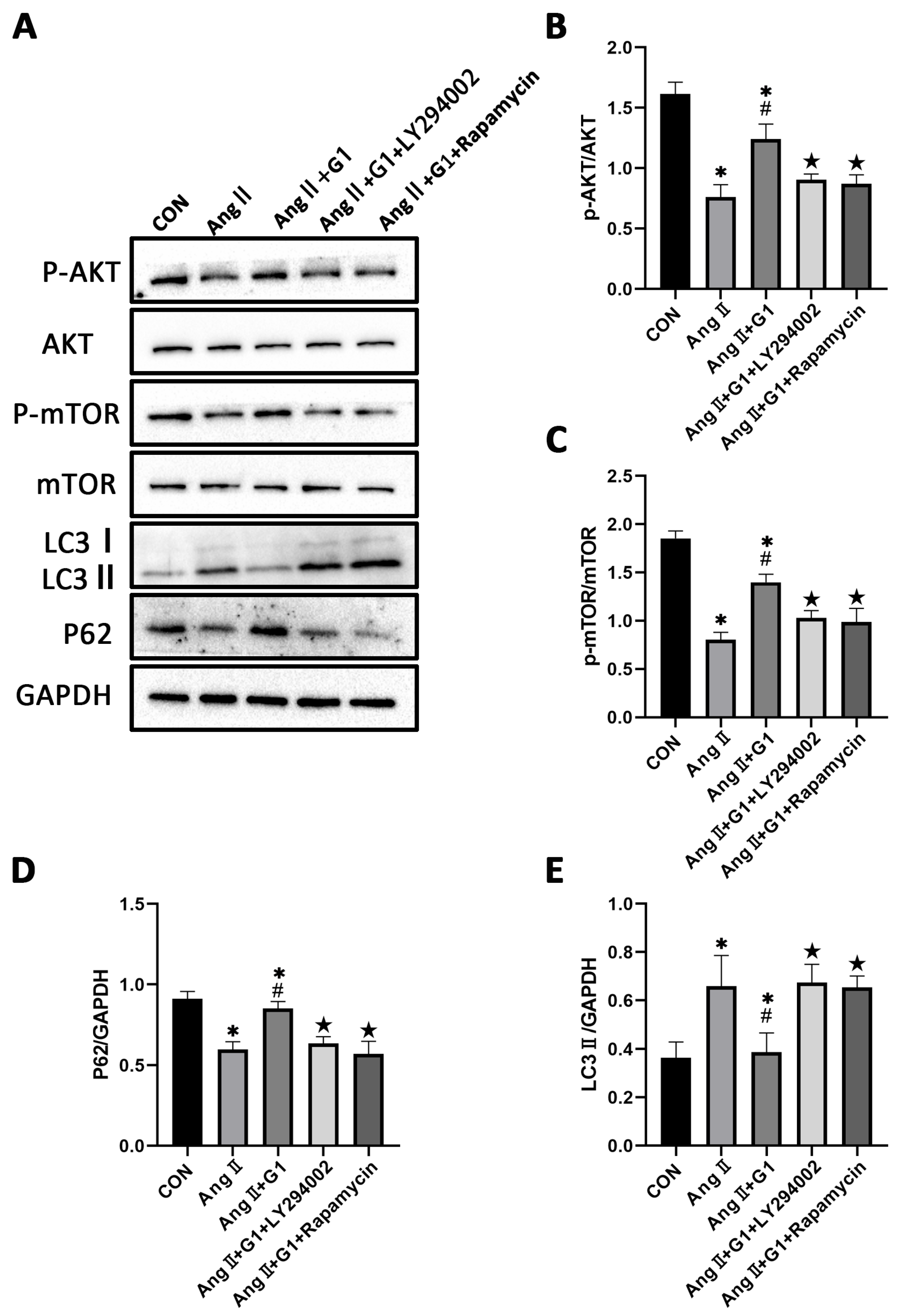 Ijms 24 00904 g009 Ijms 24 00904 g009