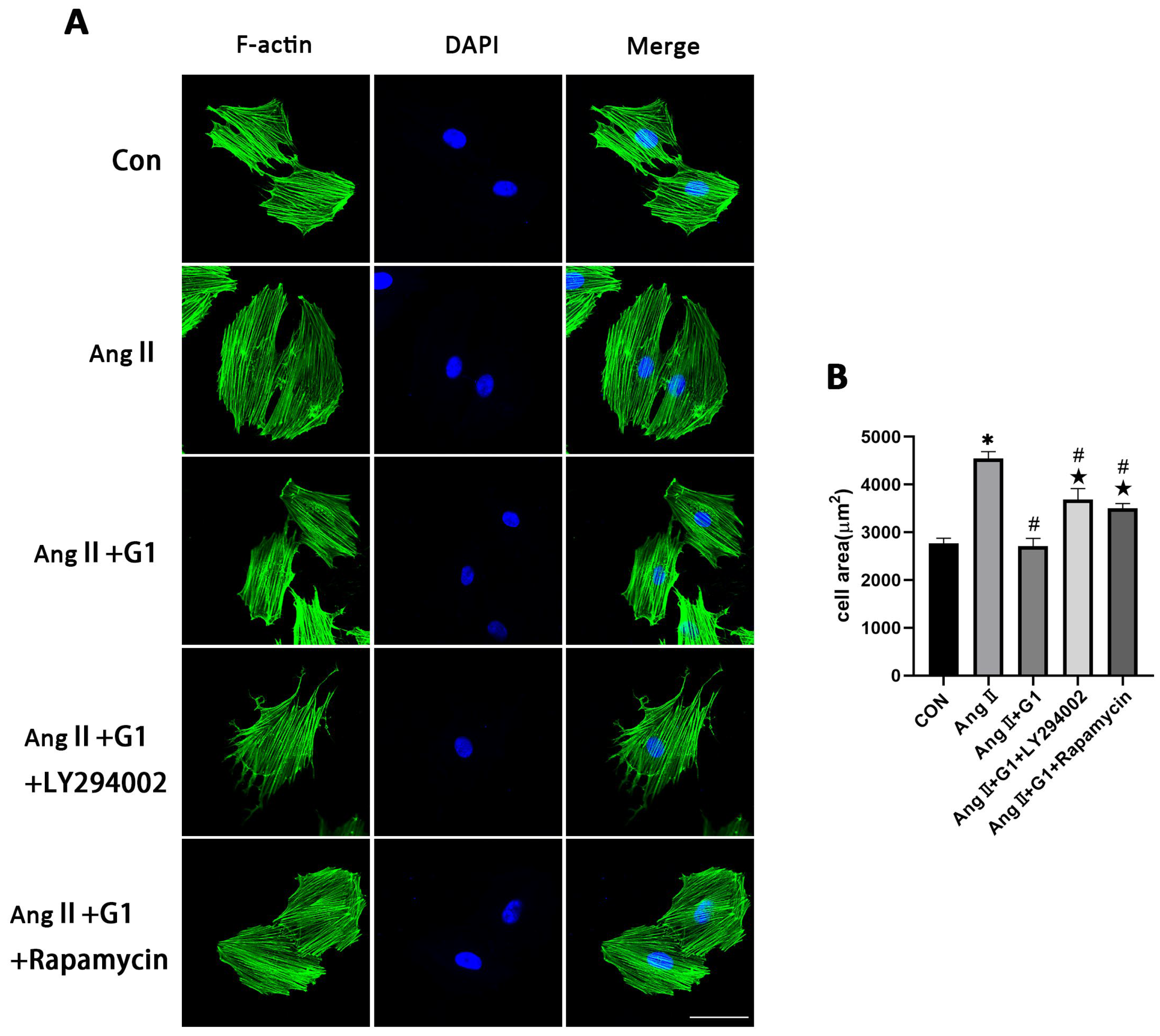 Ijms 24 00904 g010 Ijms 24 00904 g010