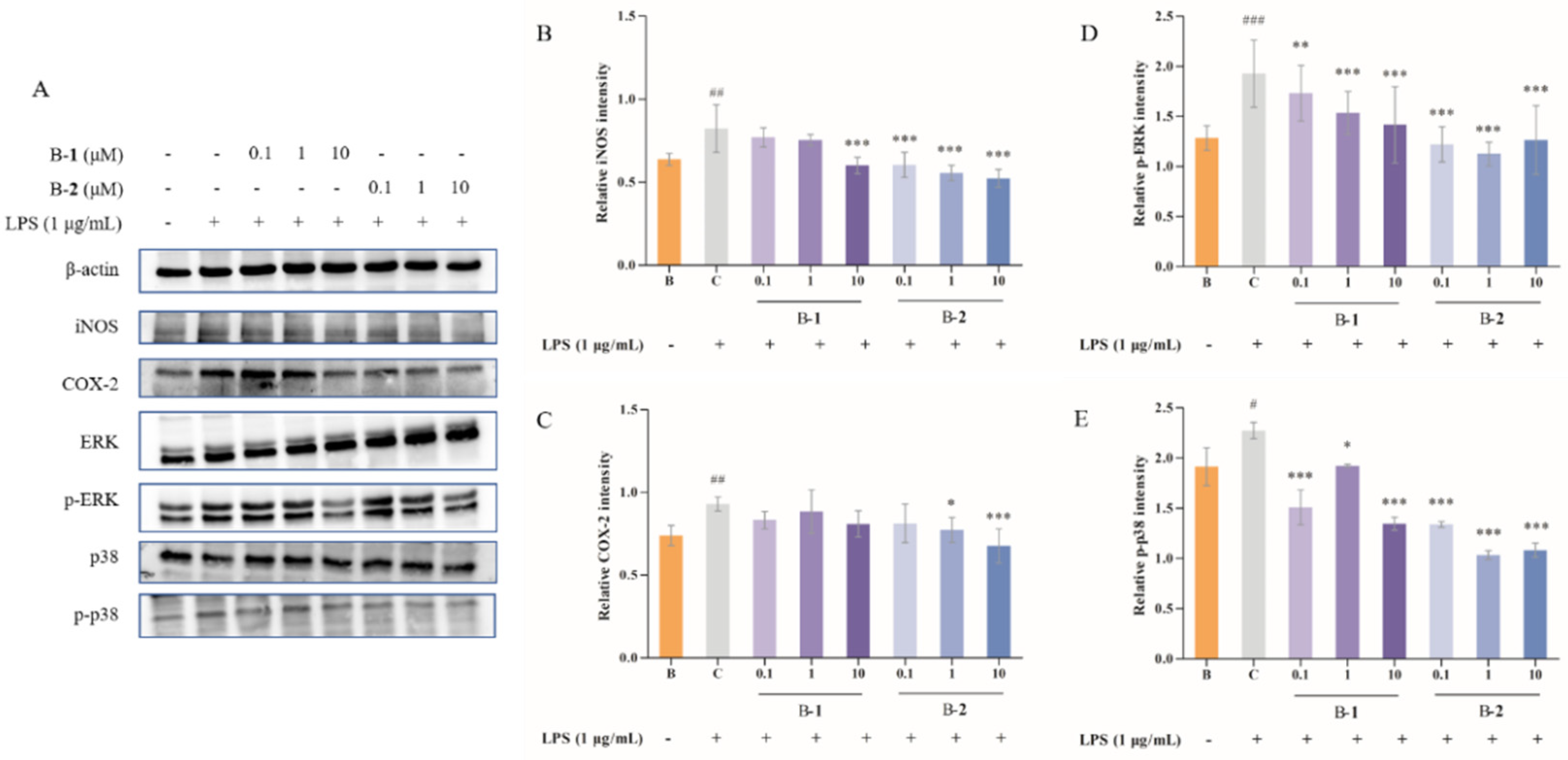 Ijms 24 00905 g003 Ijms 24 00905 g003