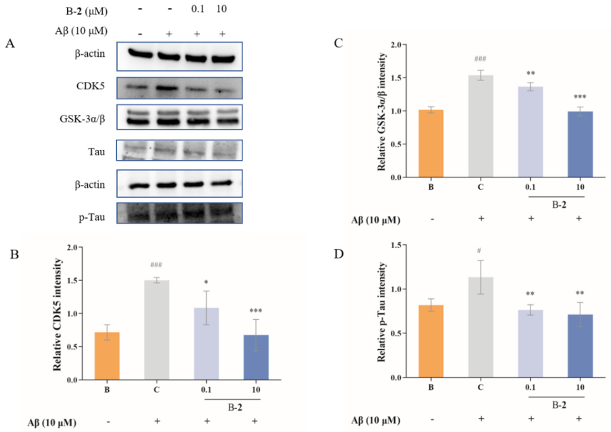 Ijms 24 00905 g005 Ijms 24 00905 g005