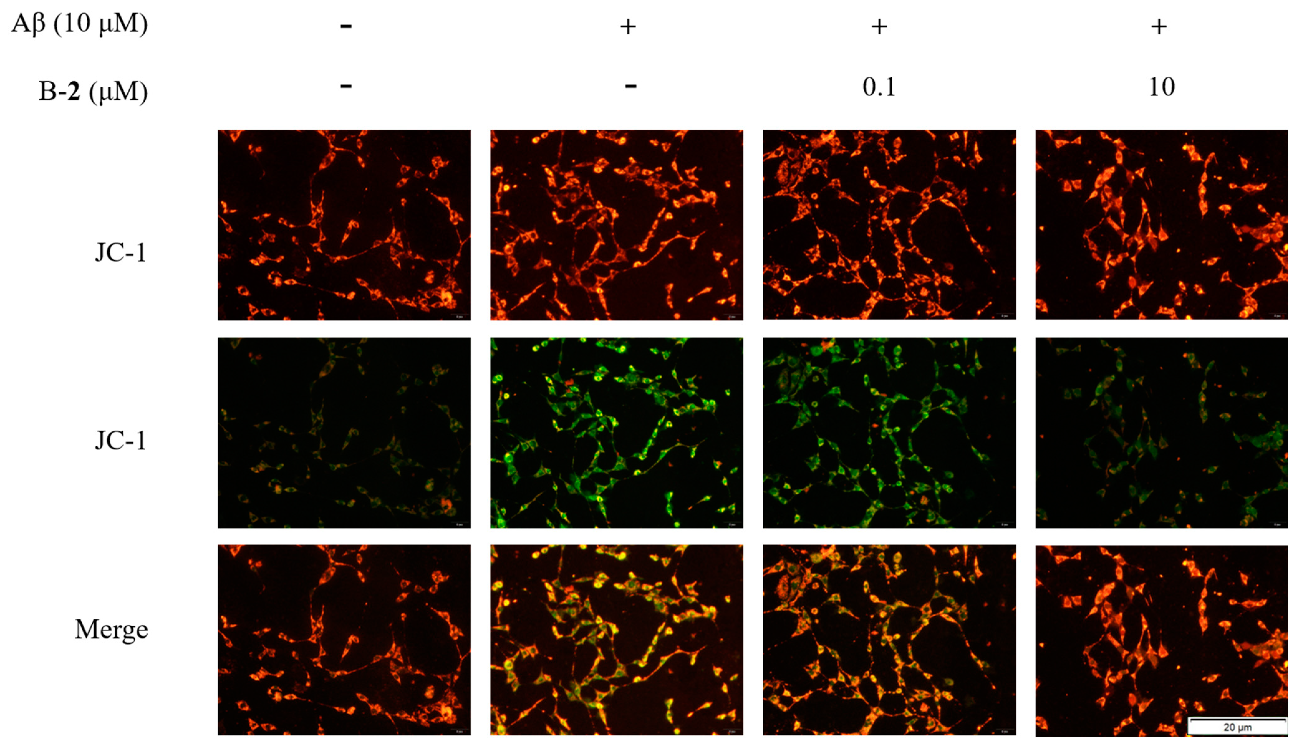 Ijms 24 00905 g006 Ijms 24 00905 g006
