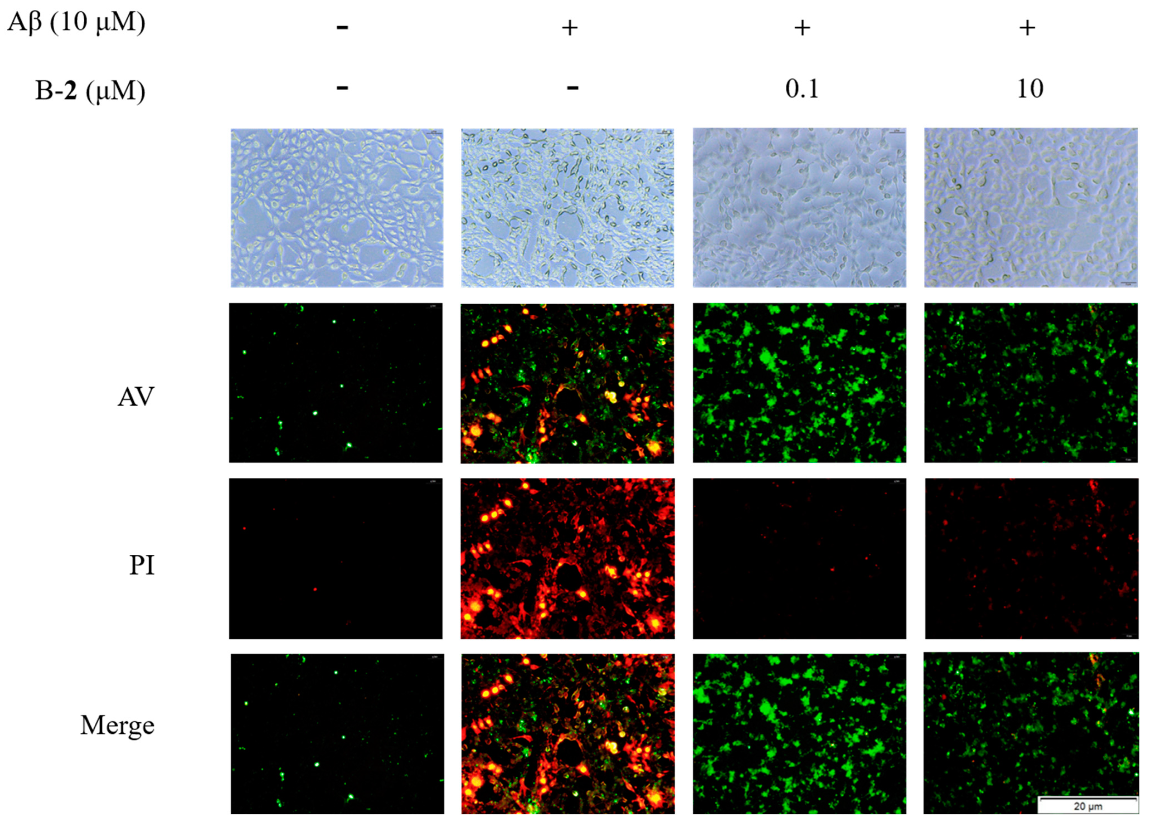 Ijms 24 00905 g008 Ijms 24 00905 g008
