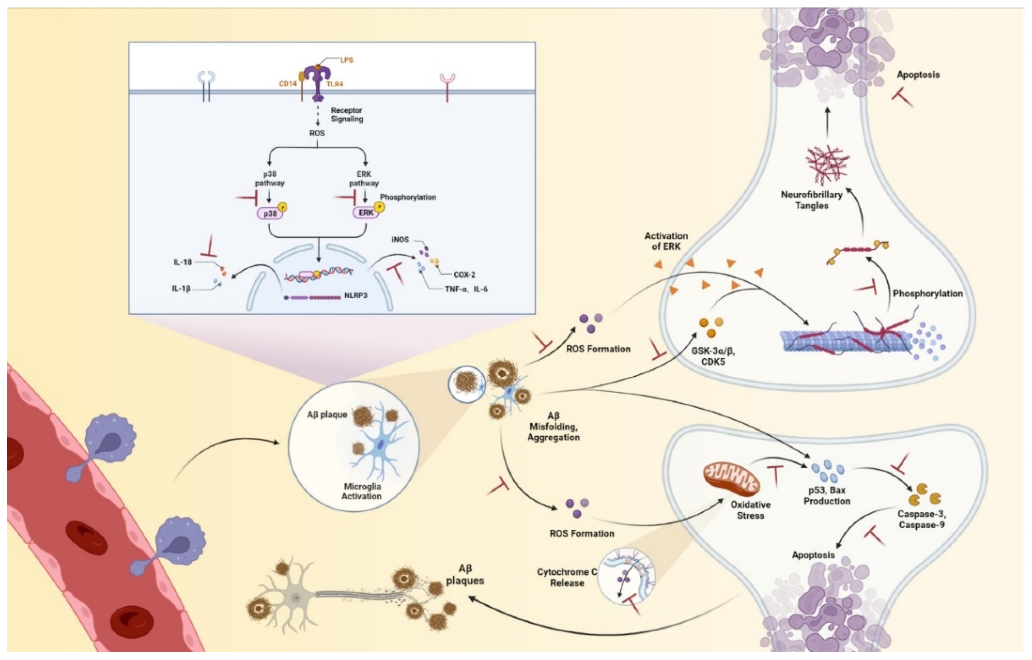 Ijms 24 00905 g011 Ijms 24 00905 g011