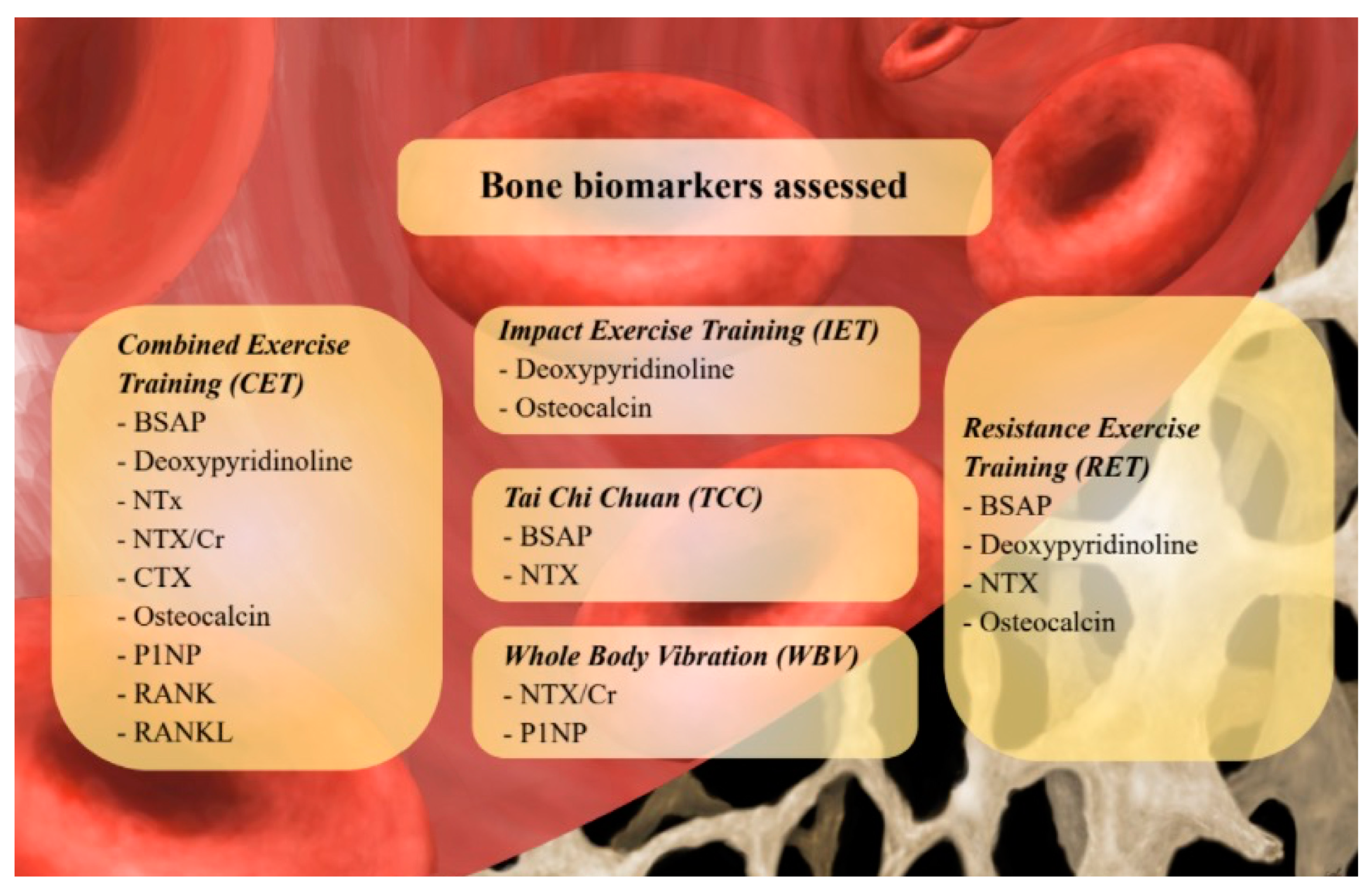 Ijms 24 00921 g002 Ijms 24 00921 g002