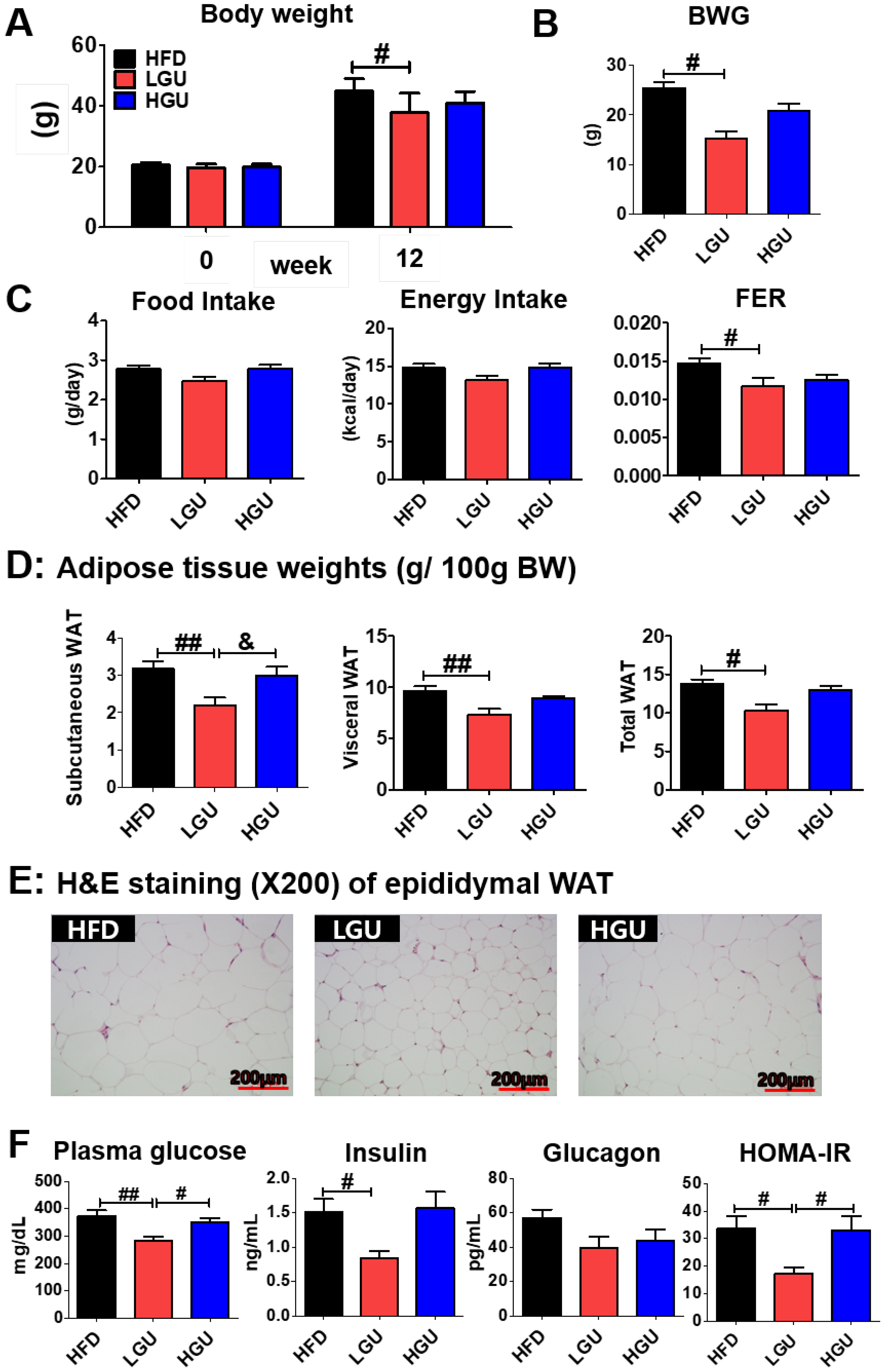 Ijms 24 00936 g001 Ijms 24 00936 g001