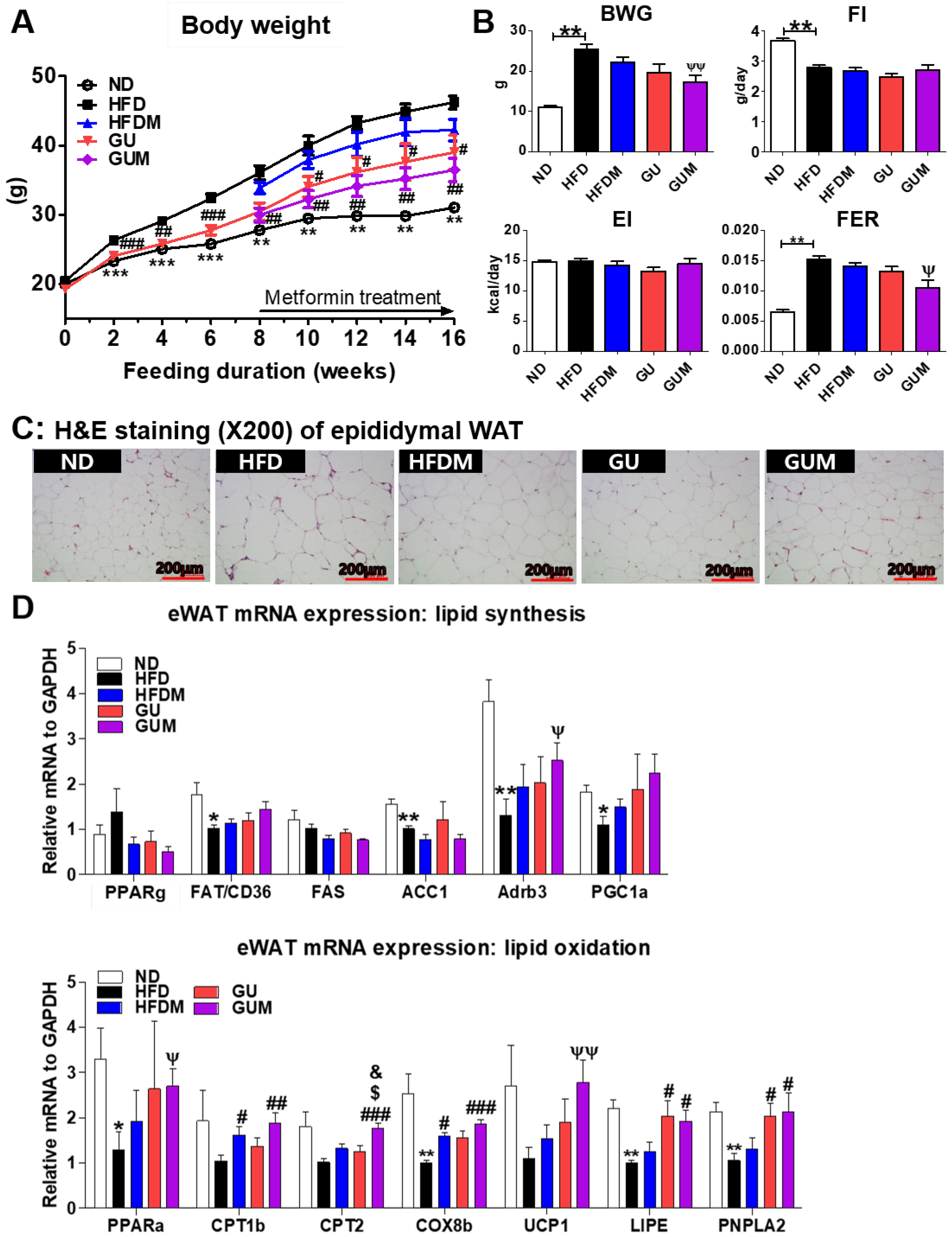 Ijms 24 00936 g002 Ijms 24 00936 g002