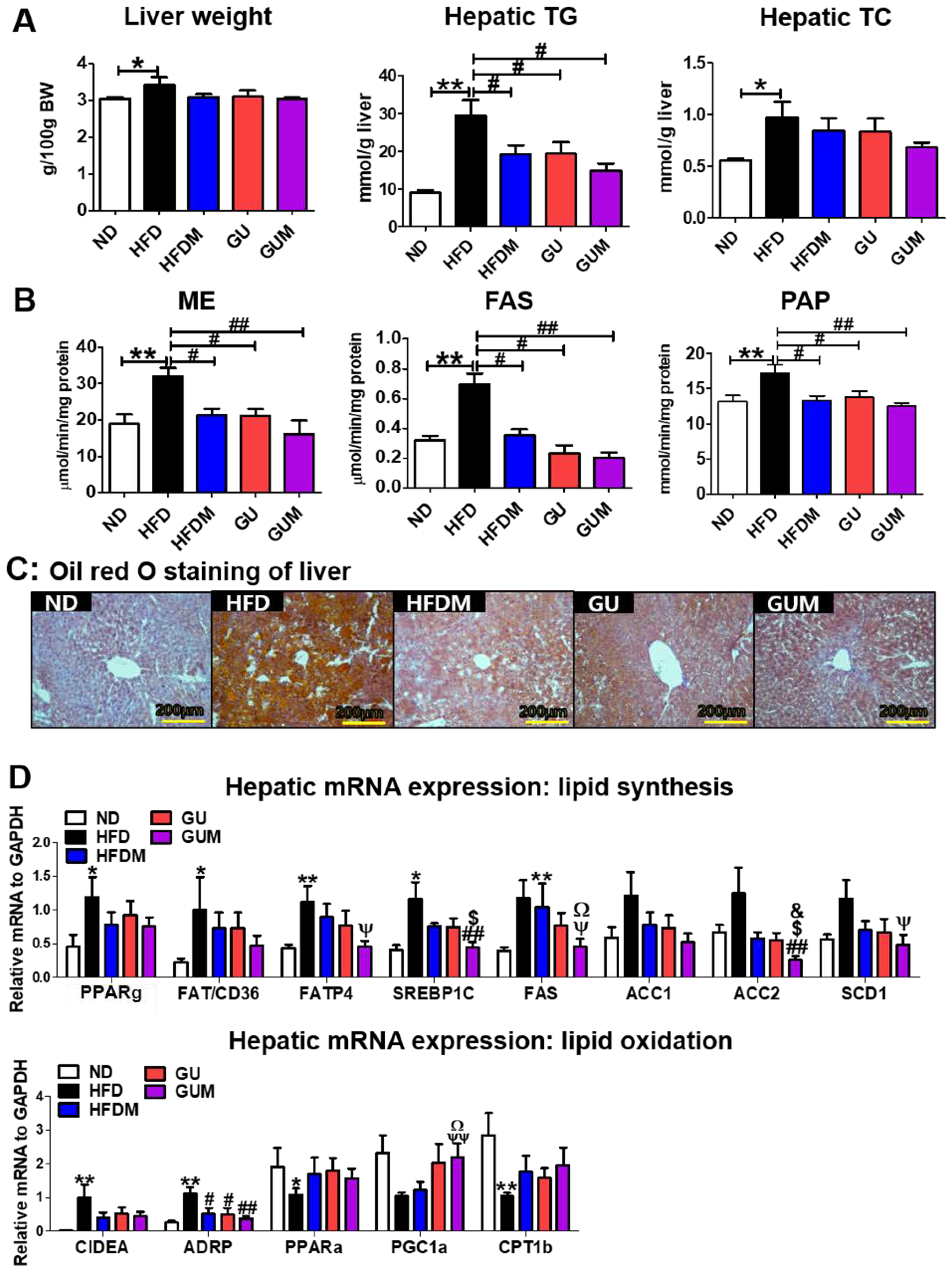 Ijms 24 00936 g004 Ijms 24 00936 g004