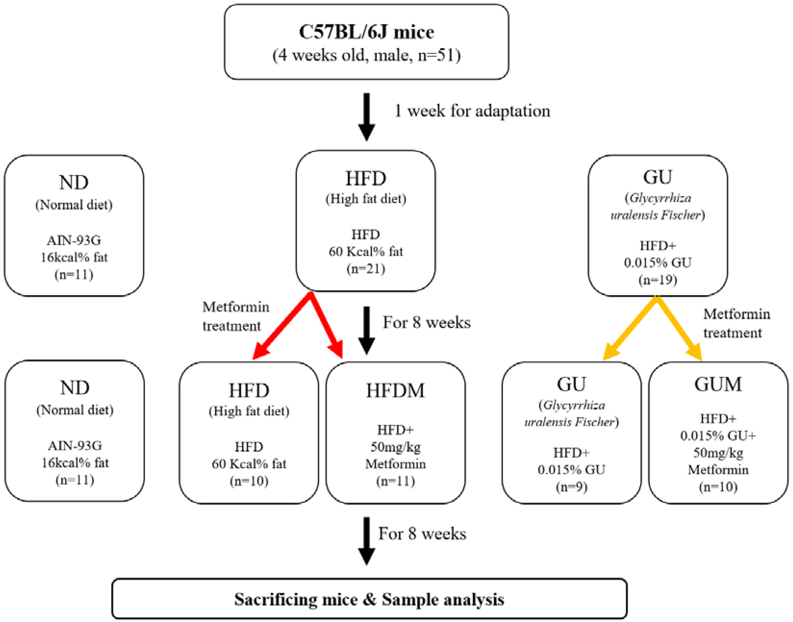 Ijms 24 00936 g008 Ijms 24 00936 g008
