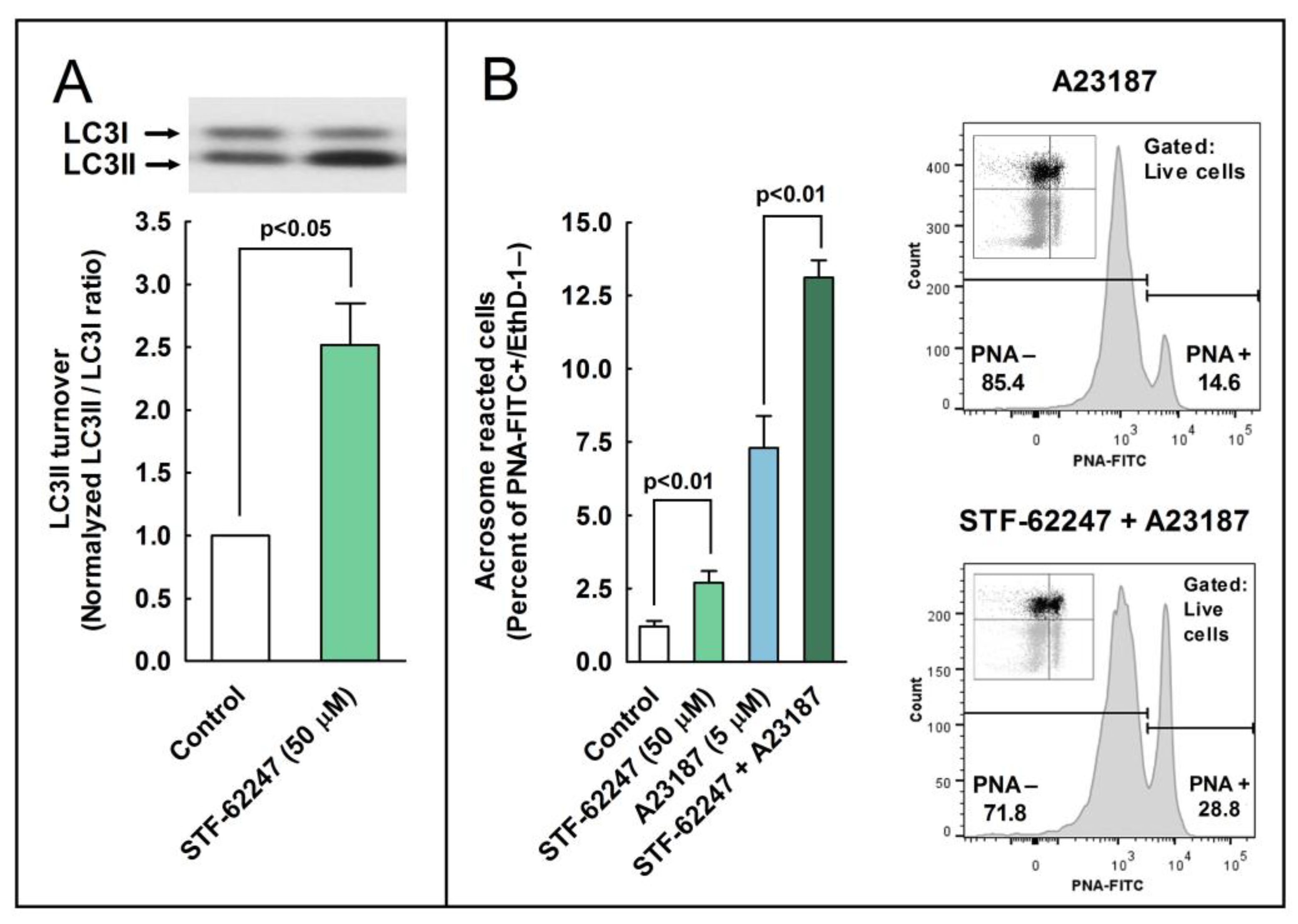 Ijms 24 00937 g006 Ijms 24 00937 g006