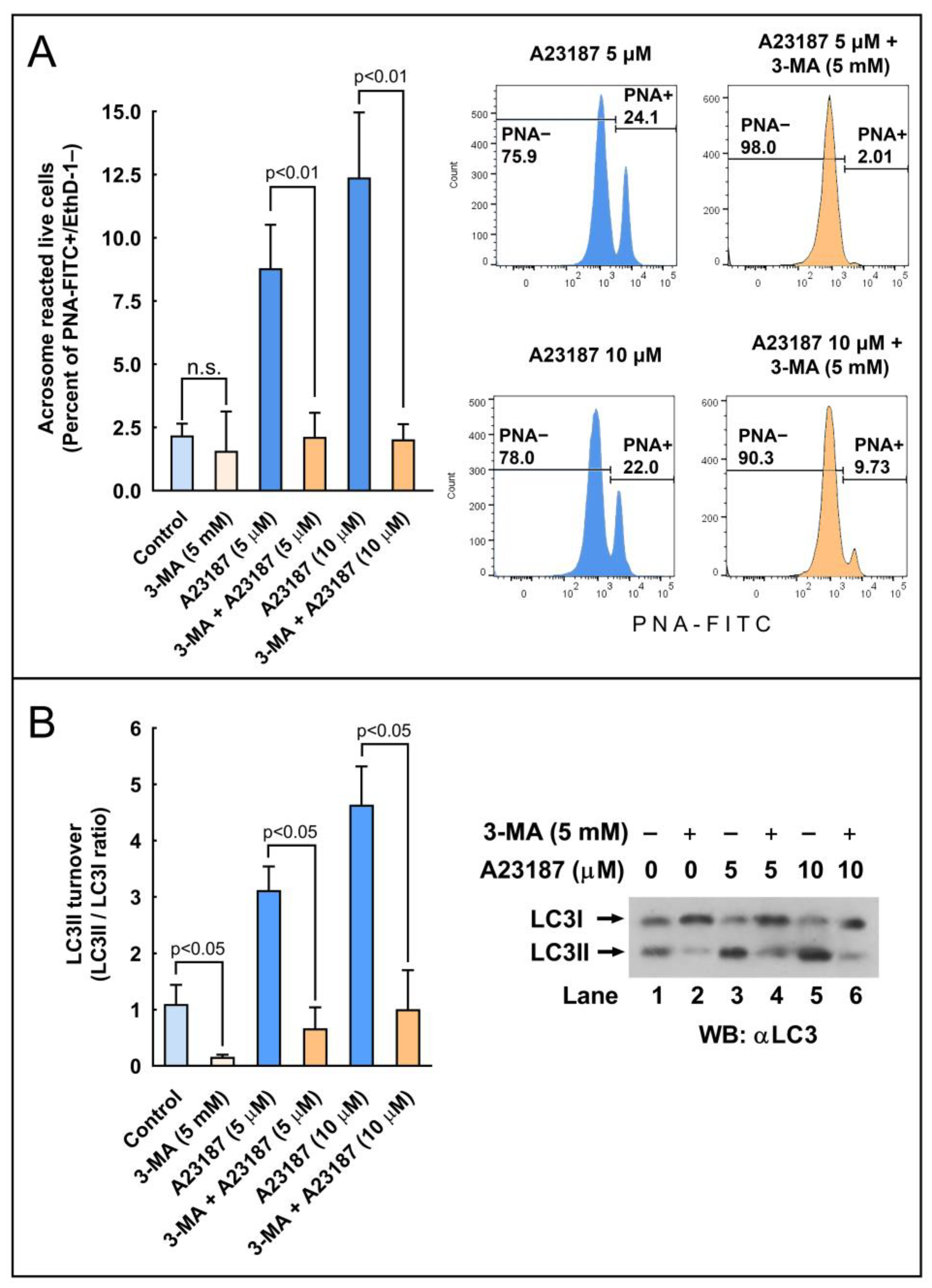 Ijms 24 00937 g009 Ijms 24 00937 g009