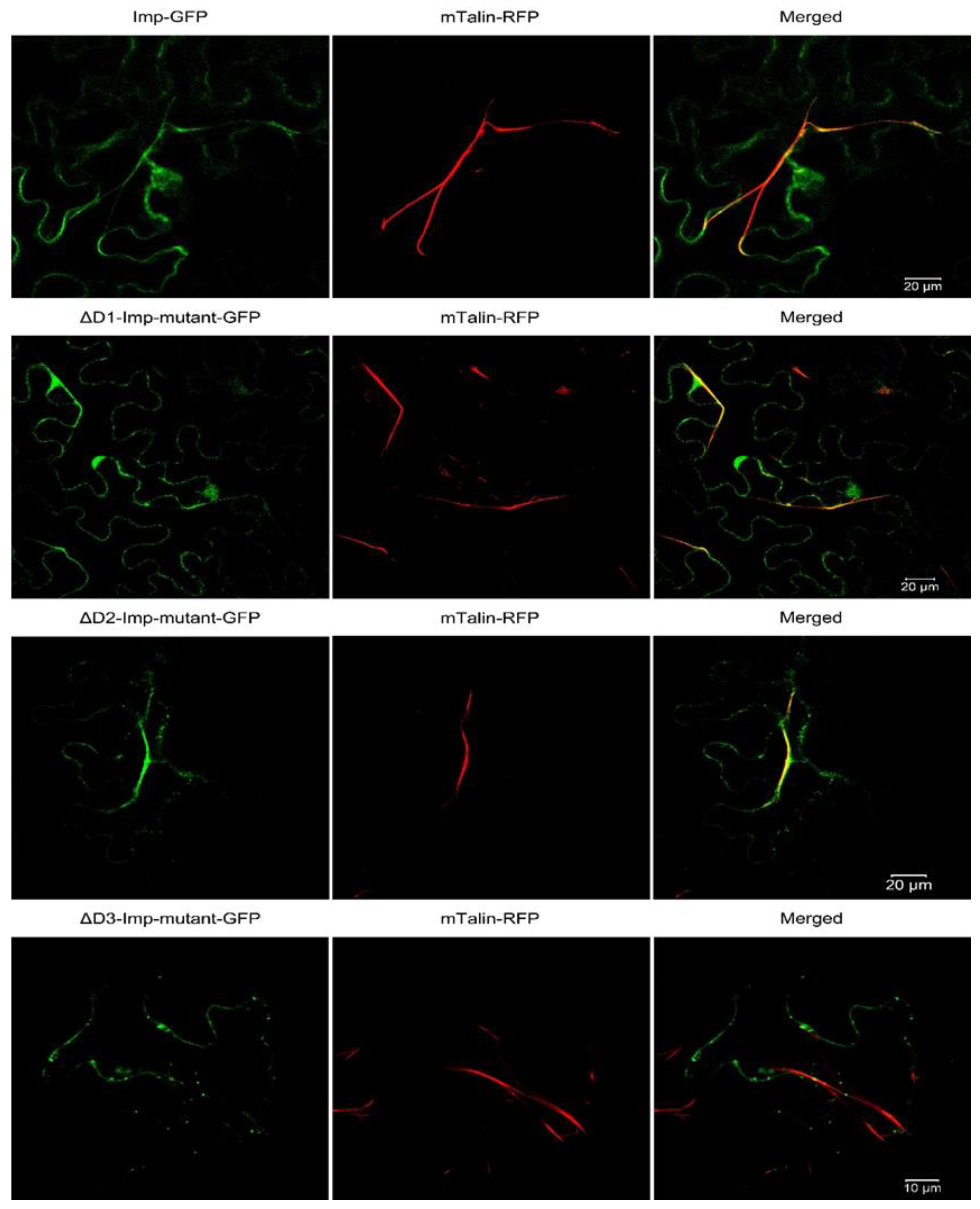 Ijms 24 00968 g002 Ijms 24 00968 g002