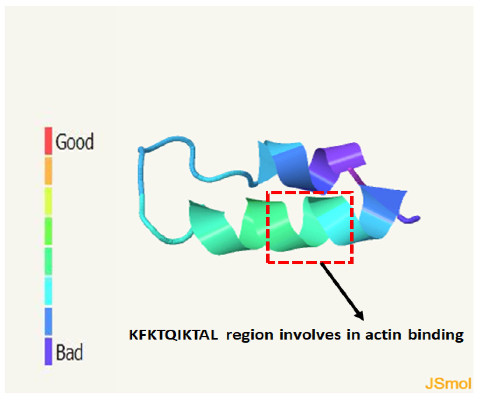 Ijms 24 00968 g007 Ijms 24 00968 g007