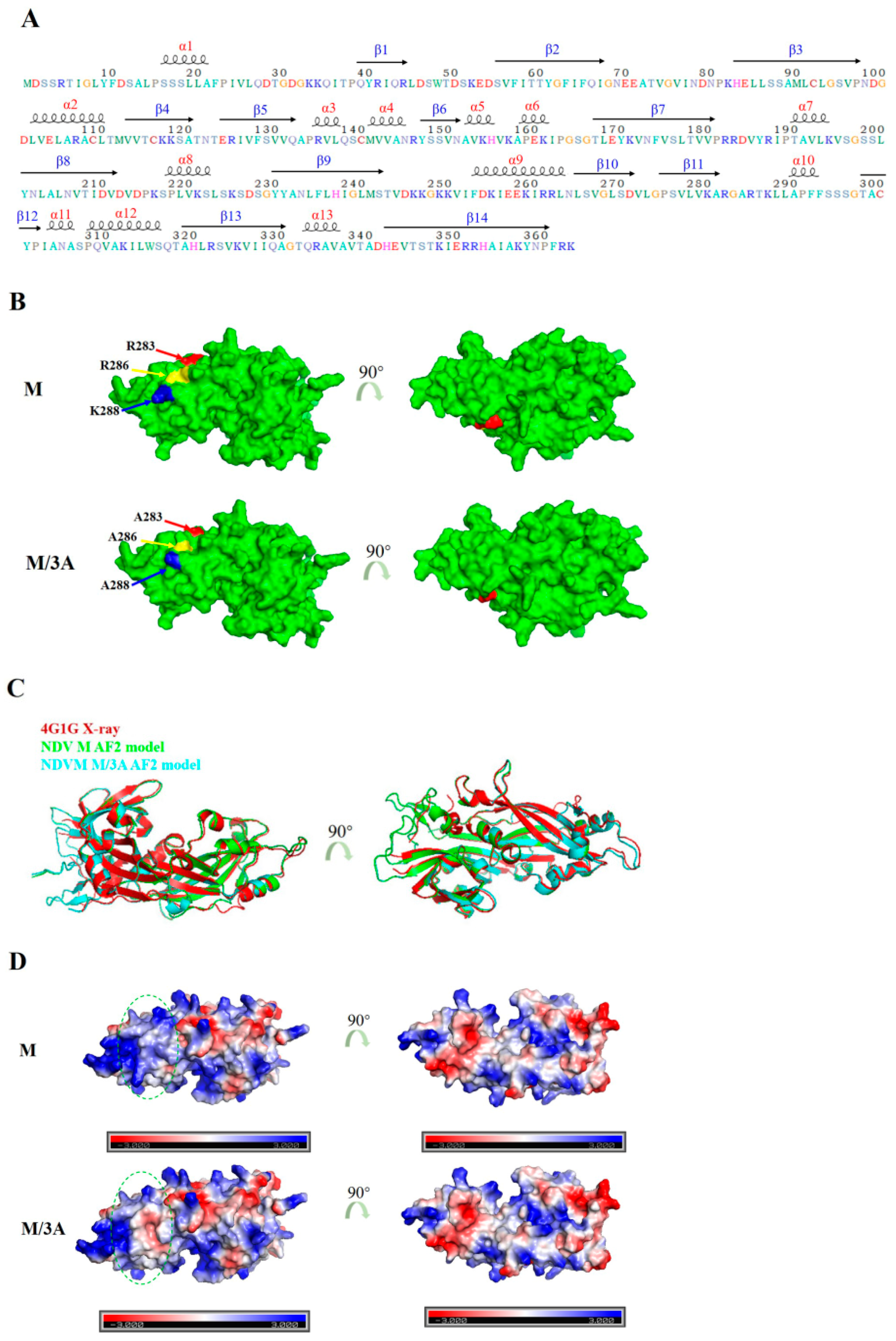 Ijms 24 00980 g002 Ijms 24 00980 g002