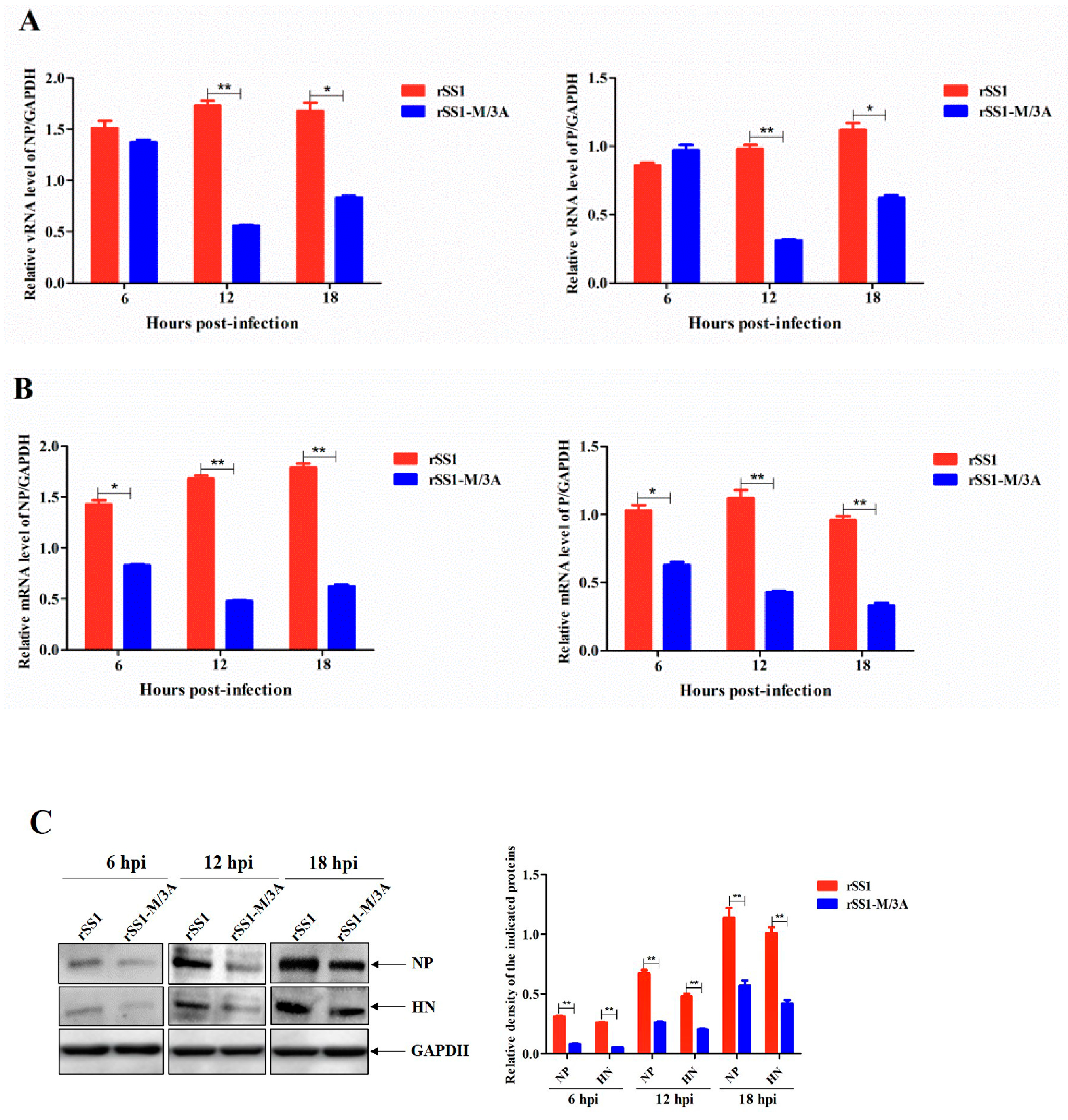 Ijms 24 00980 g004 Ijms 24 00980 g004