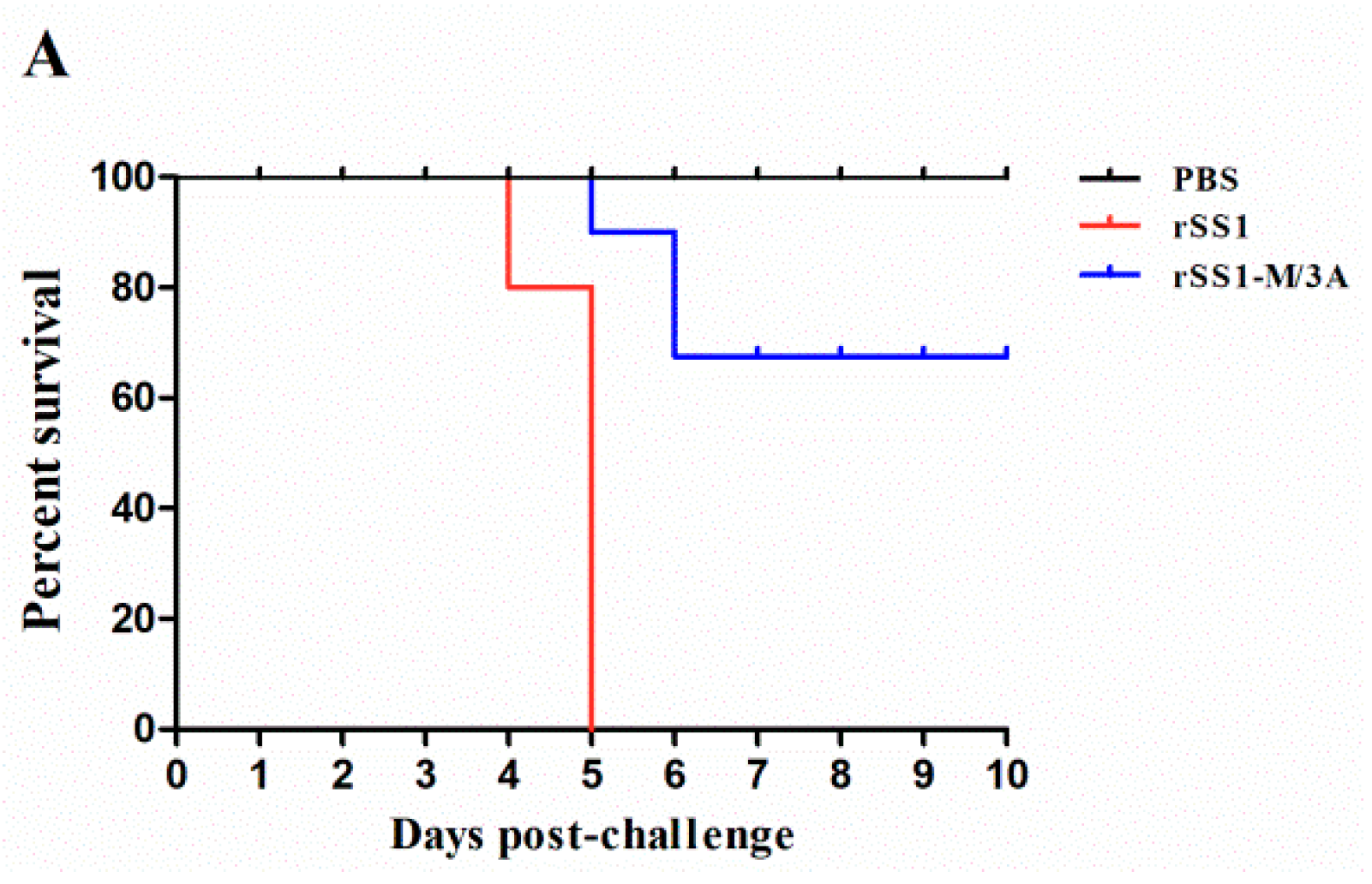 Ijms 24 00980 g006a Ijms 24 00980 g006a