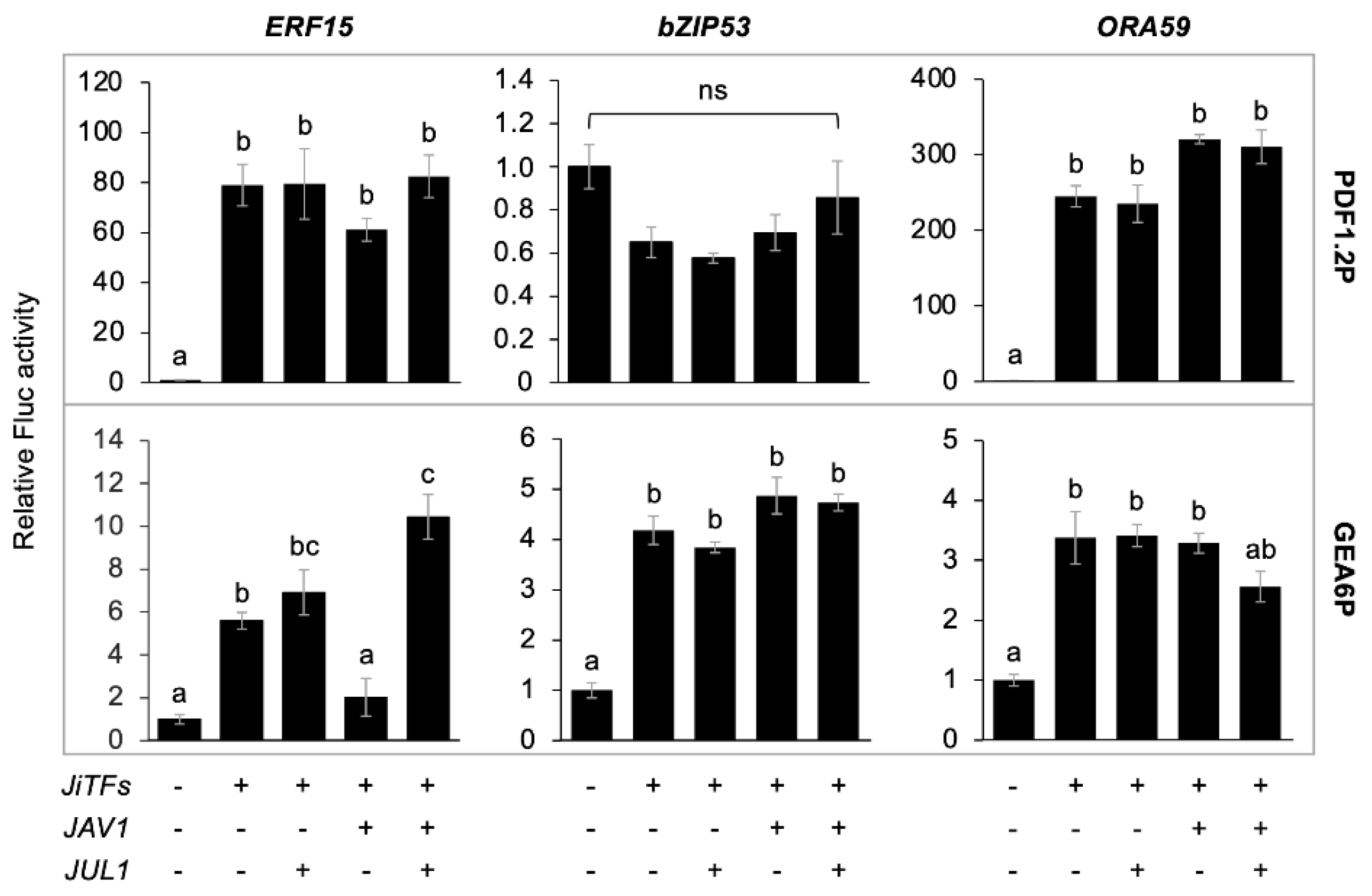 Ijms 24 00987 g003 Ijms 24 00987 g003