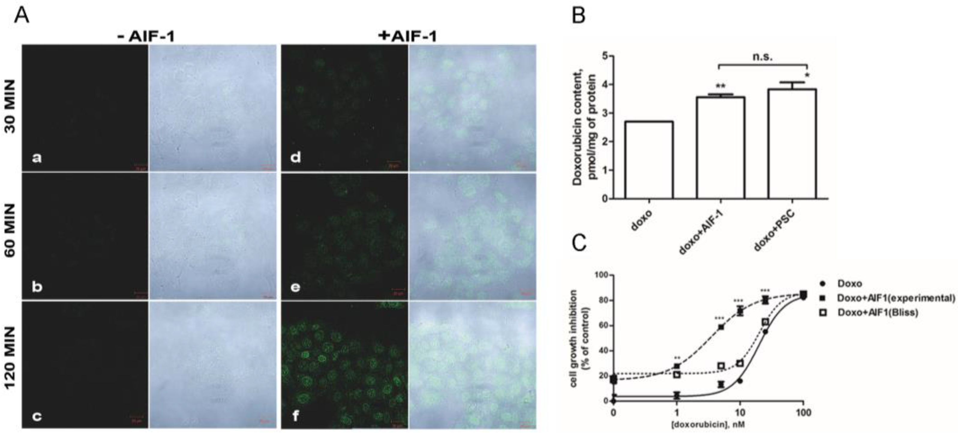 Ijms 24 00989 g004 Ijms 24 00989 g004