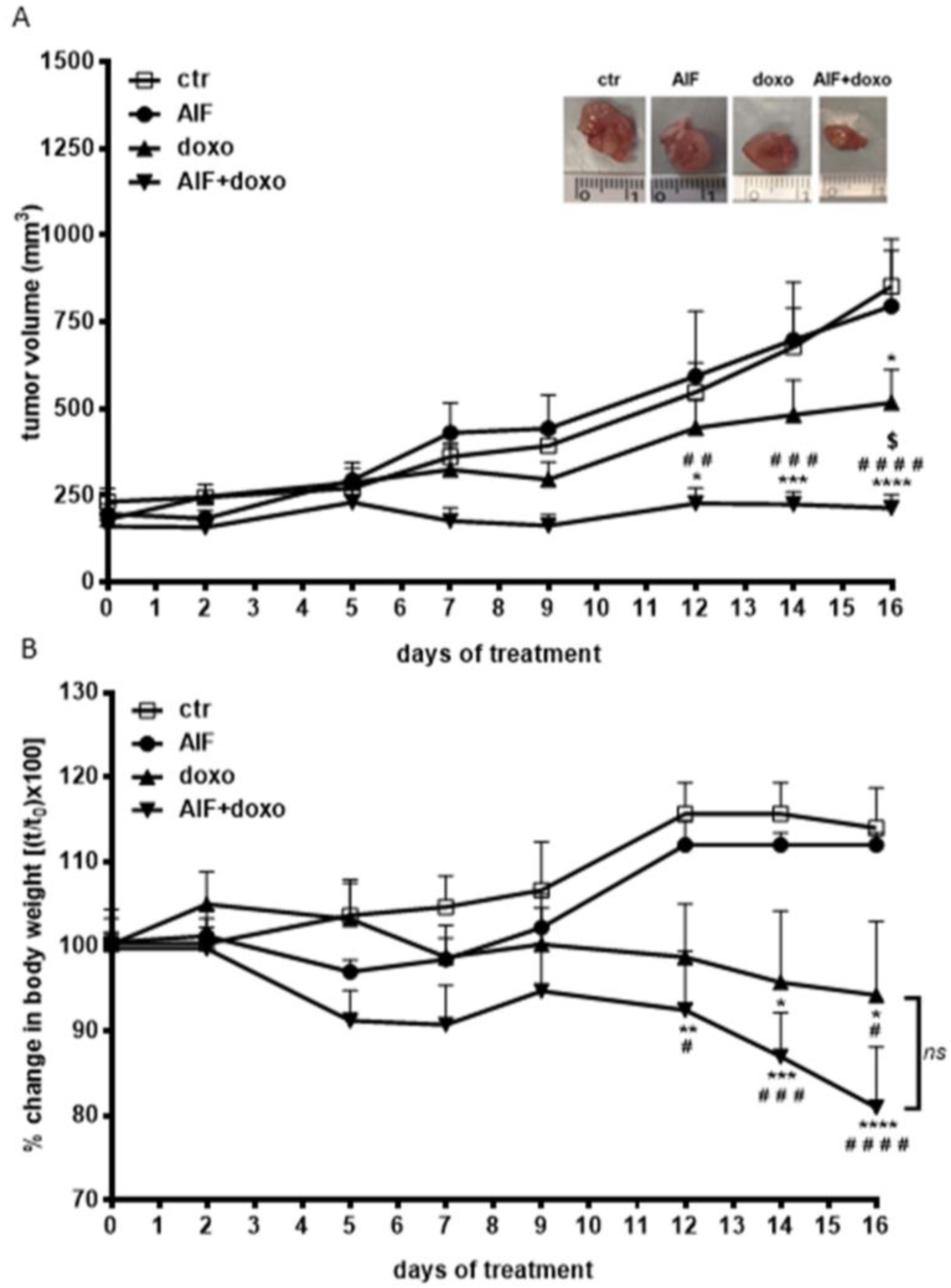 Ijms 24 00989 g005 Ijms 24 00989 g005
