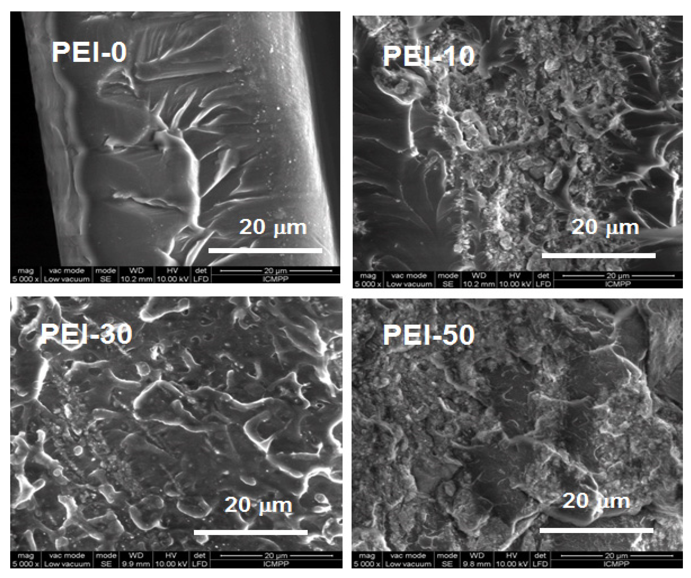 Ijms 24 00999 g001 Ijms 24 00999 g001