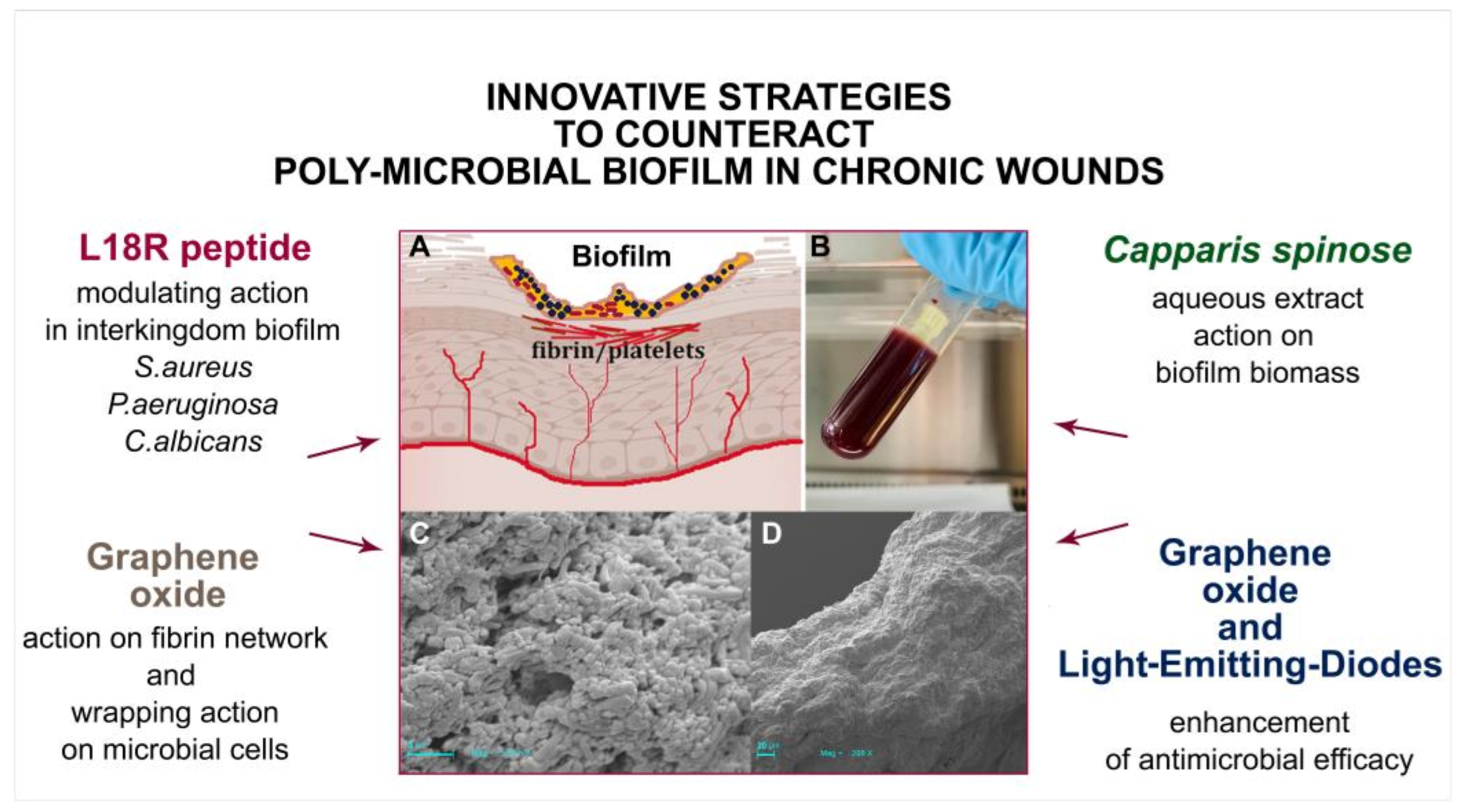 Ijms 24 01004 g003 Ijms 24 01004 g003