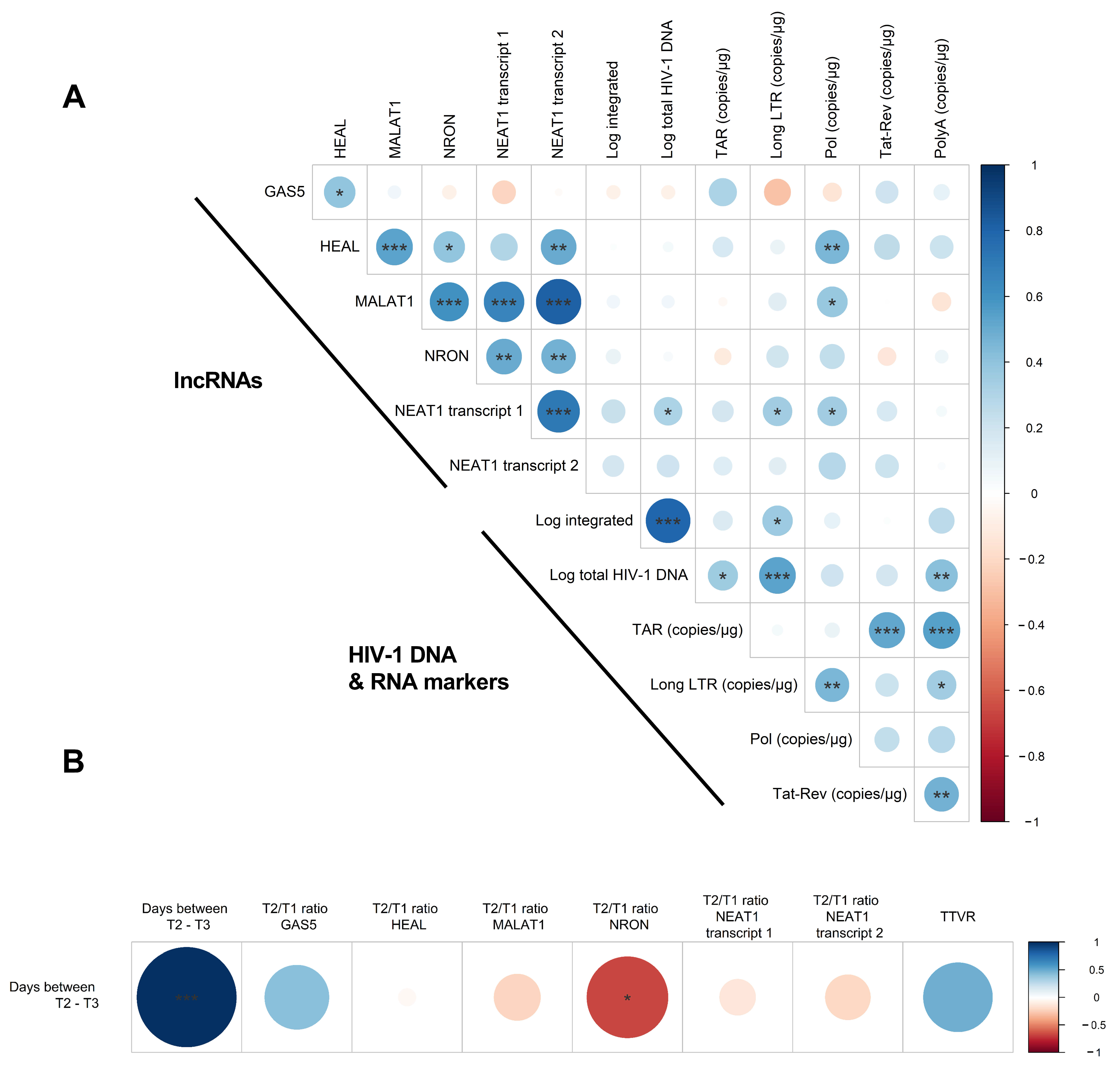 Ijms 24 01031 g003 Ijms 24 01031 g003