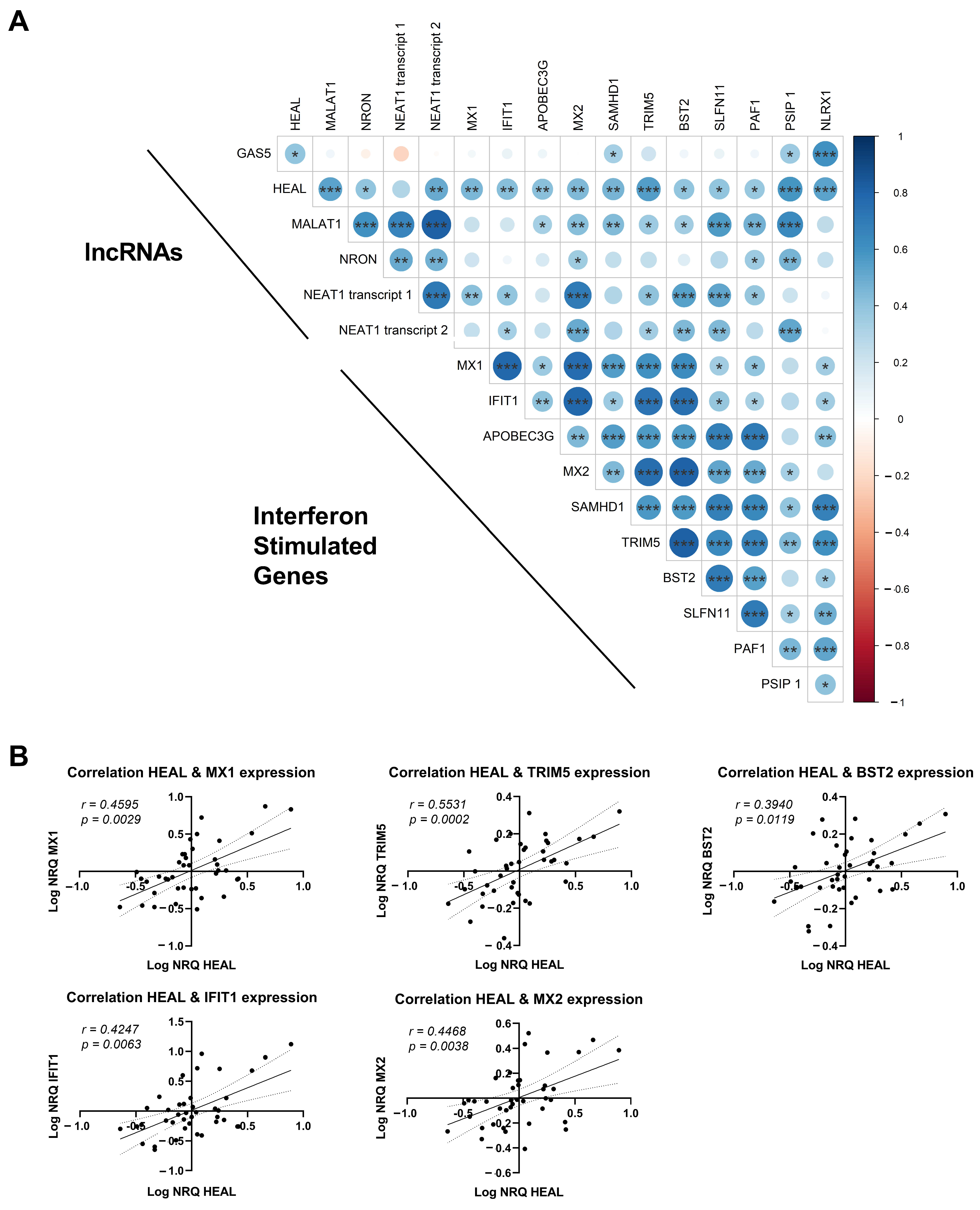 Ijms 24 01031 g004 Ijms 24 01031 g004
