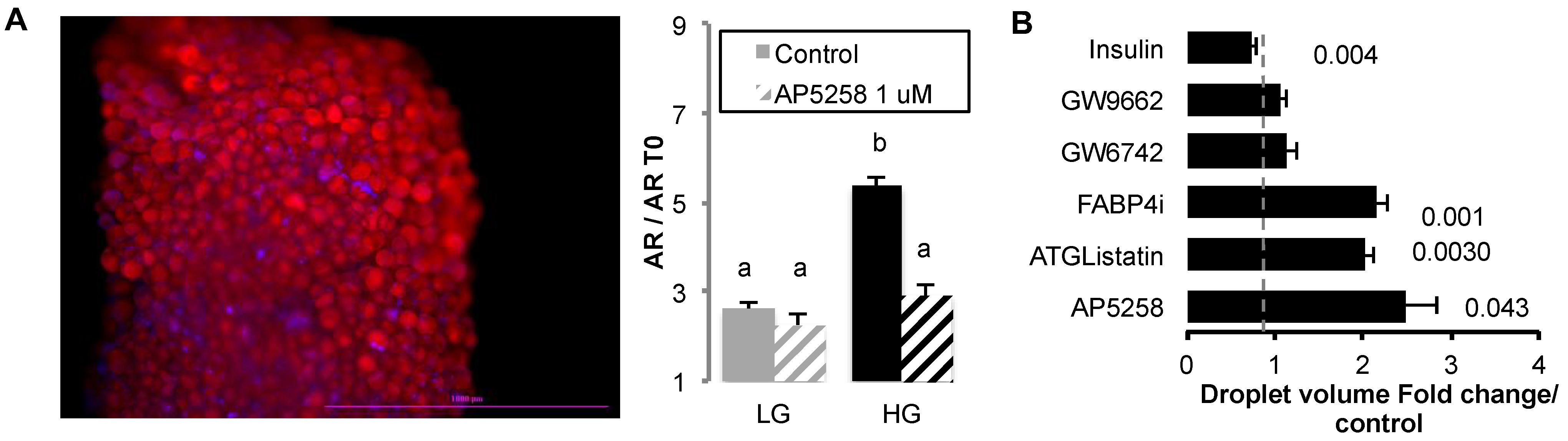 Ijms 24 01032 g001 Ijms 24 01032 g001