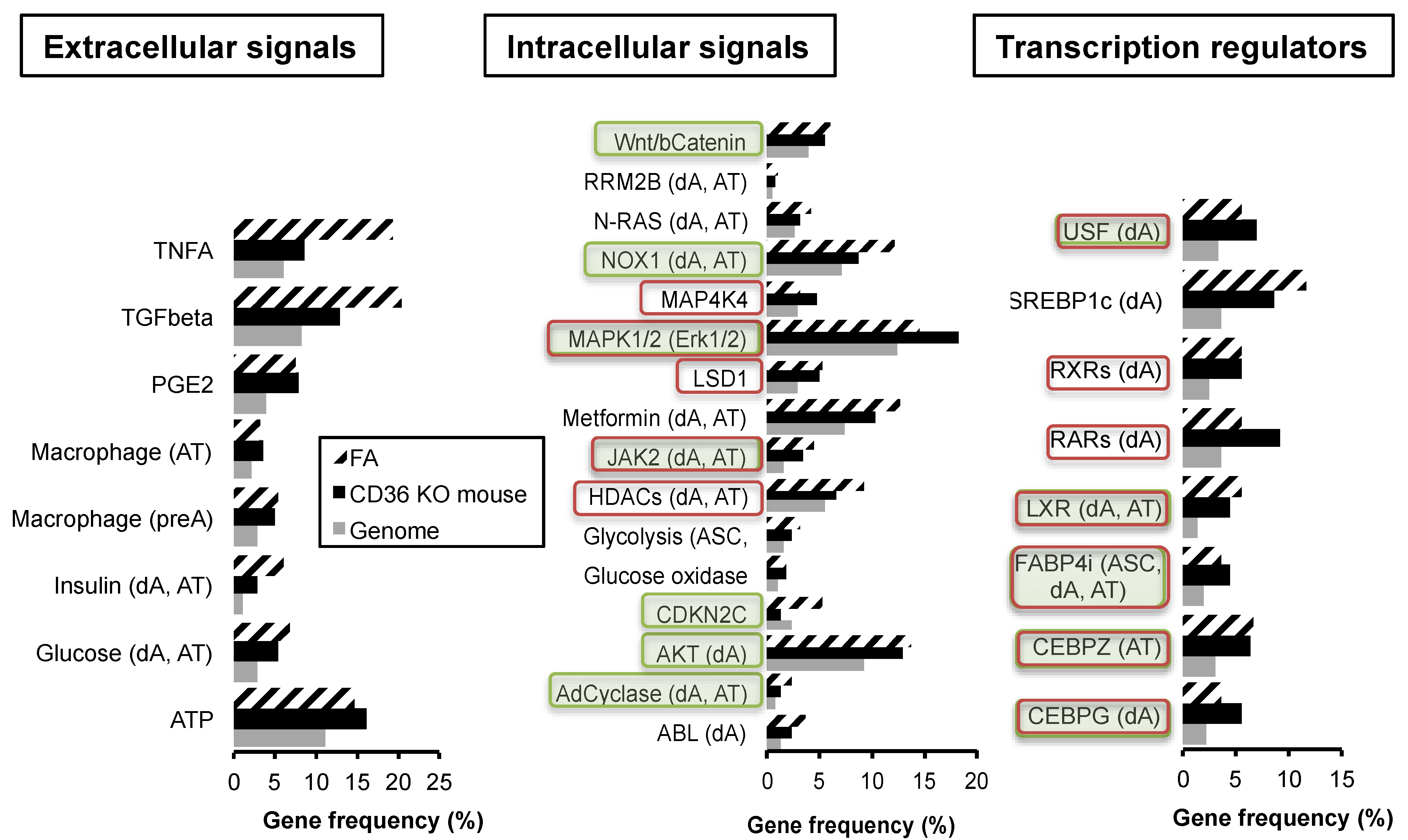 Ijms 24 01032 g002 Ijms 24 01032 g002
