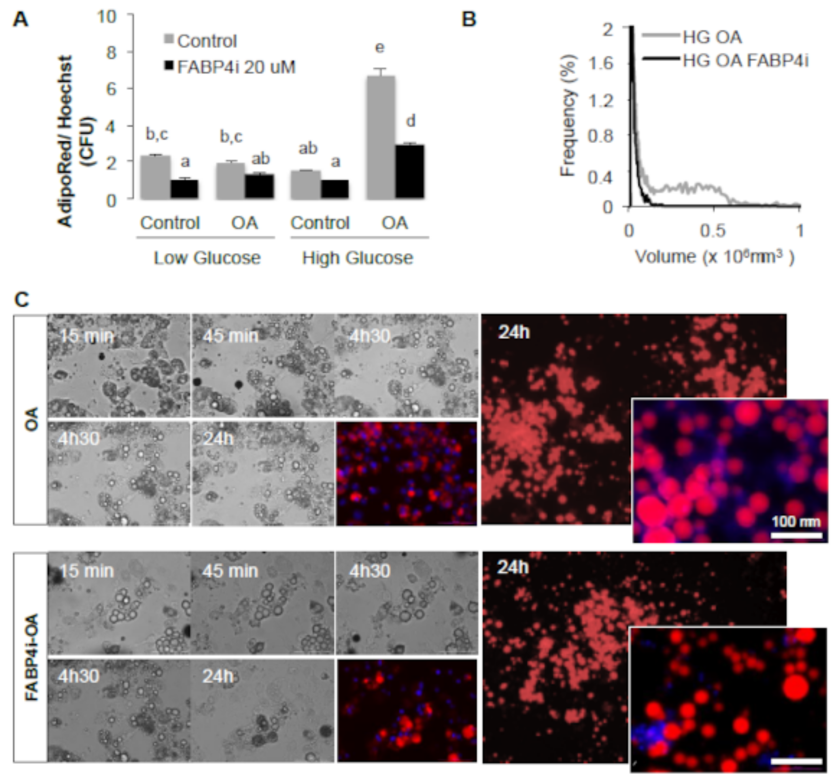 Ijms 24 01032 g003 Ijms 24 01032 g003