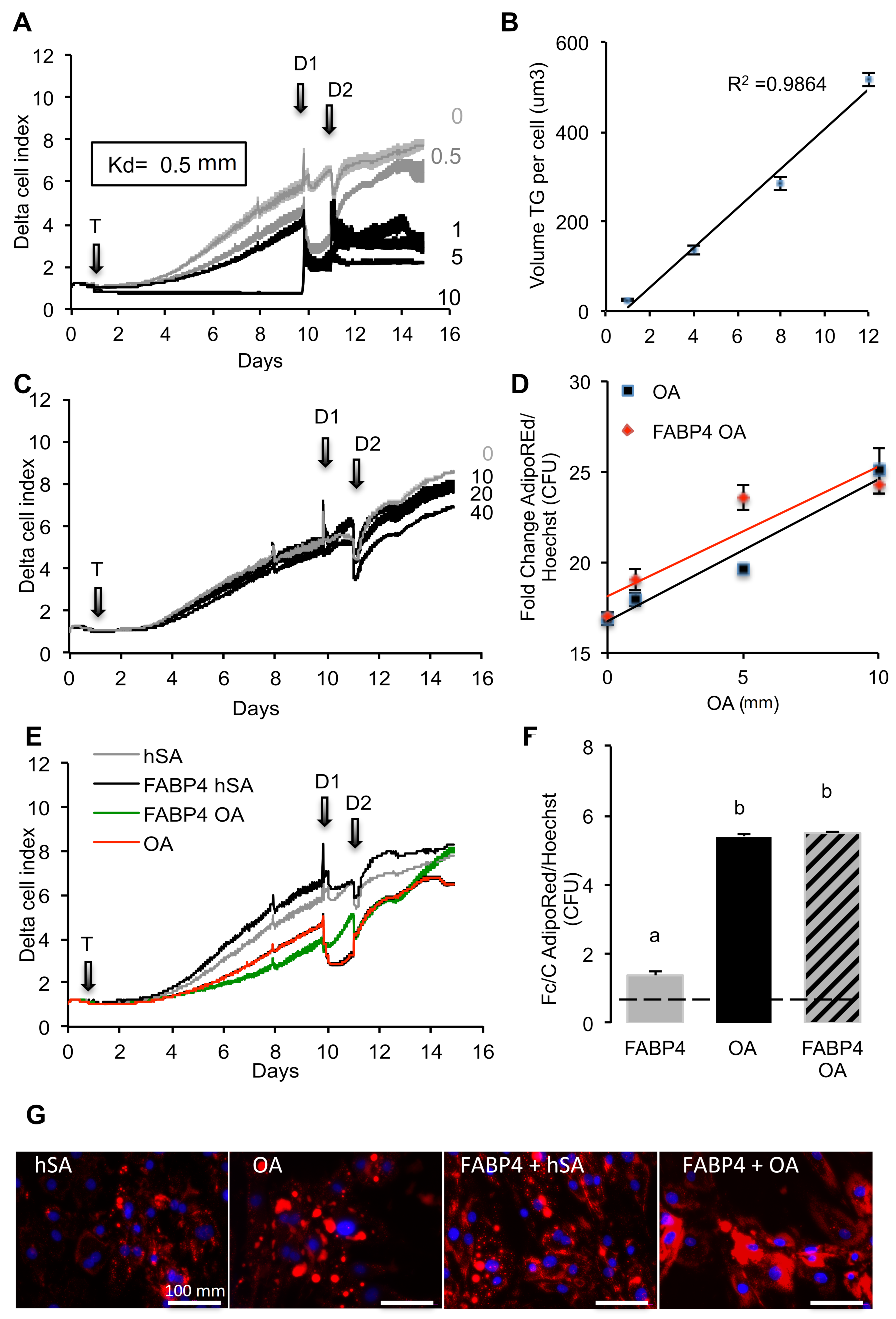 Ijms 24 01032 g006 Ijms 24 01032 g006