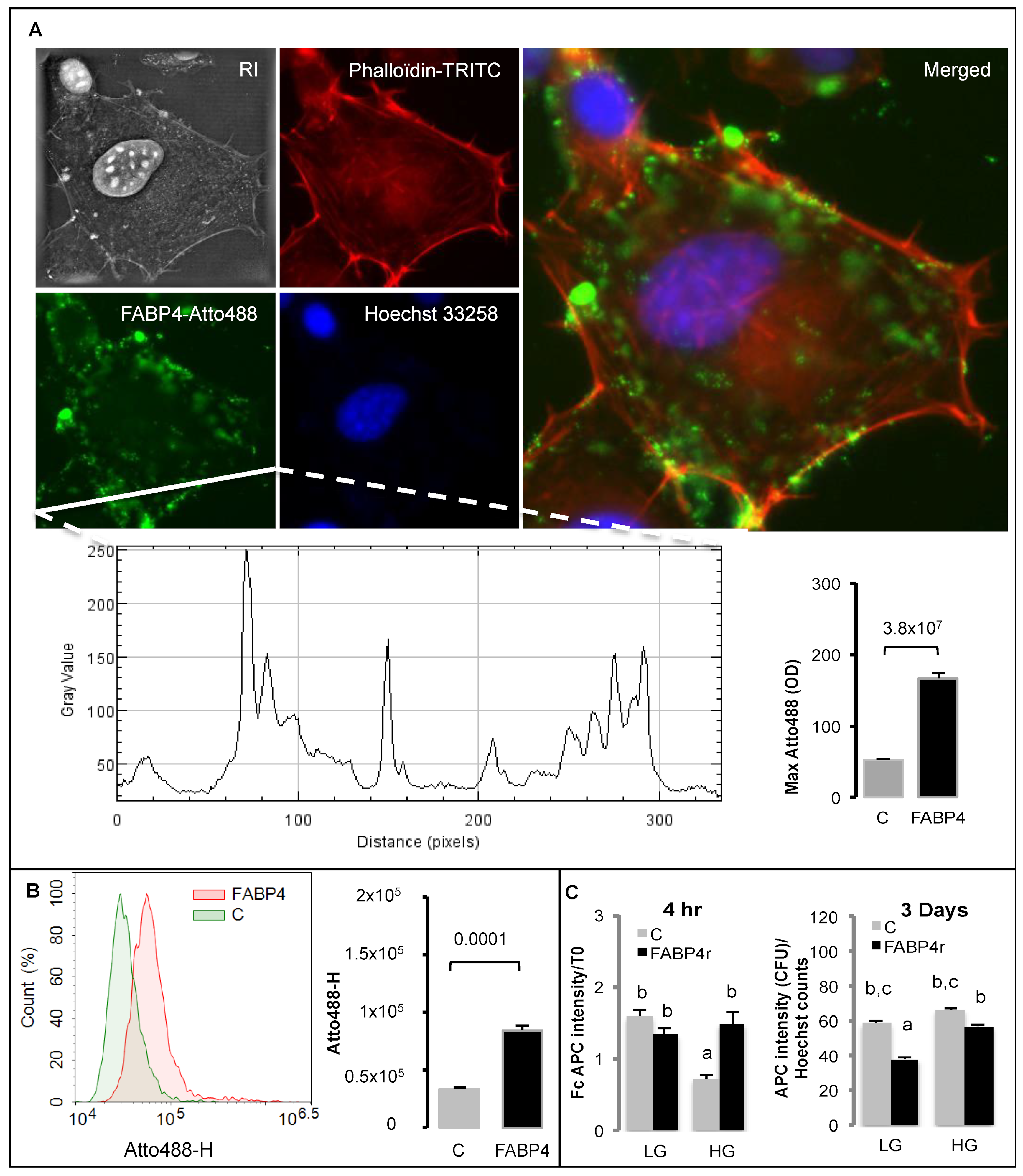 Ijms 24 01032 g007 Ijms 24 01032 g007