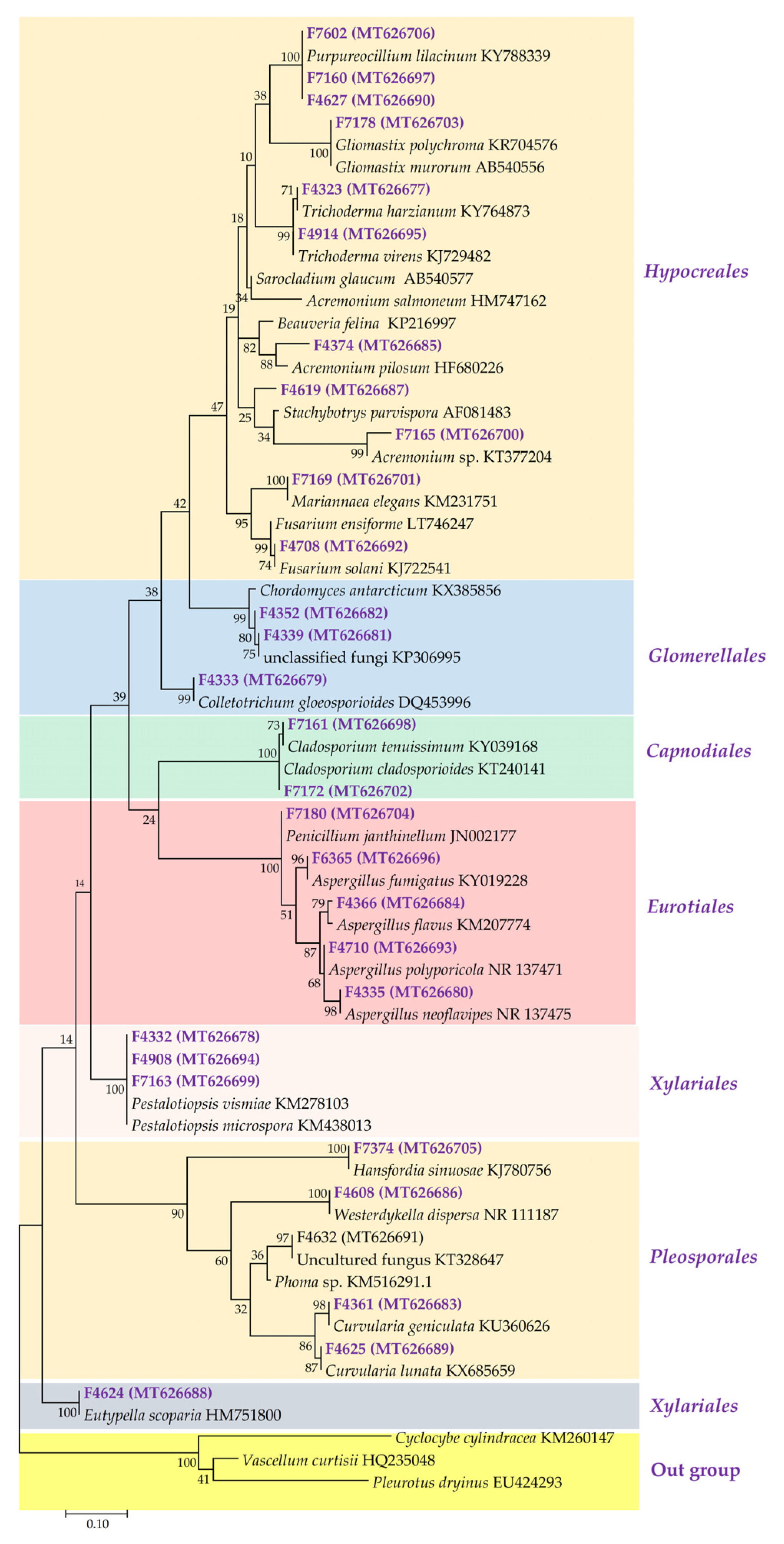 Ijms 24 01033 g001 Ijms 24 01033 g001