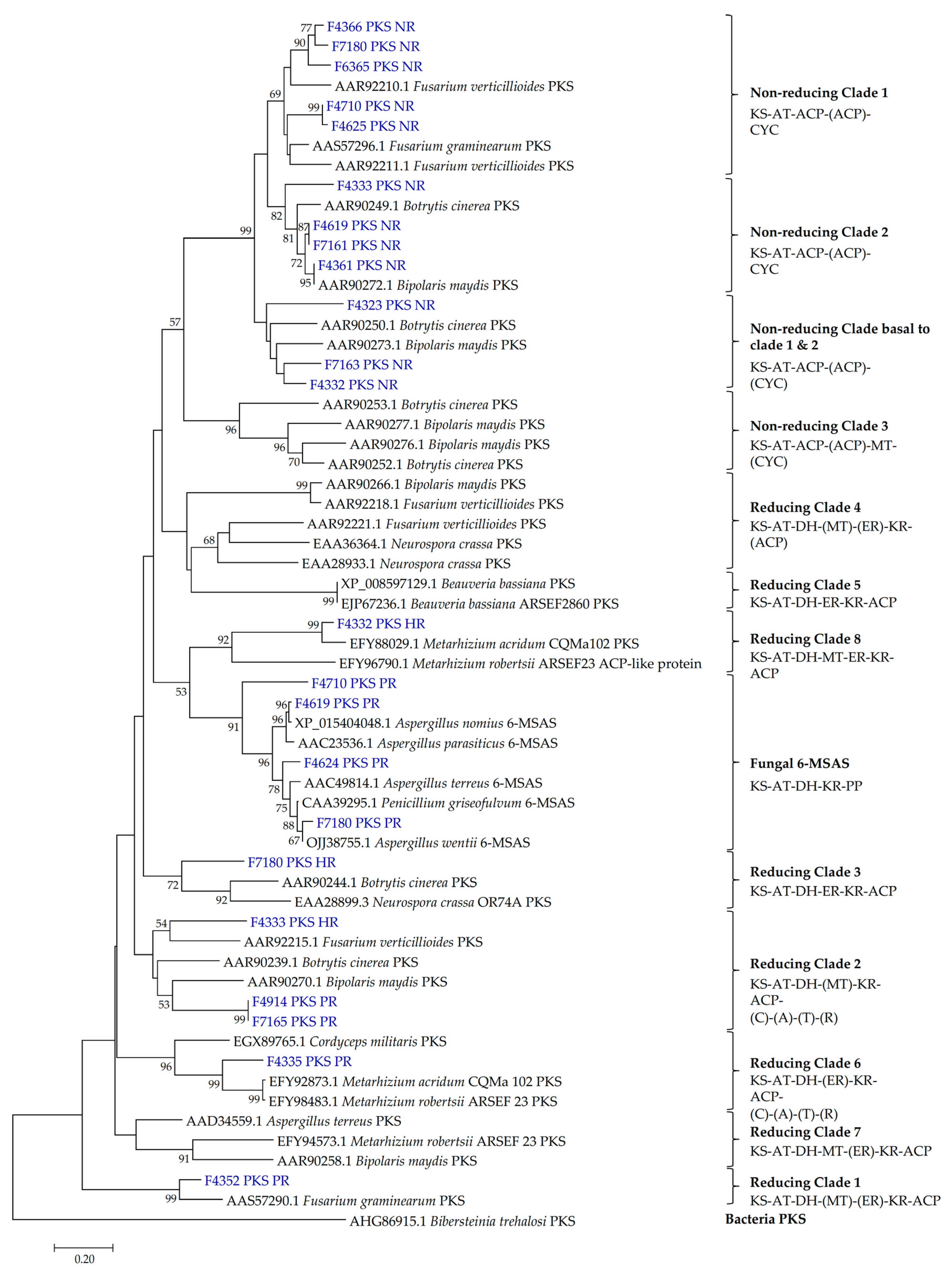 Ijms 24 01033 g002 Ijms 24 01033 g002