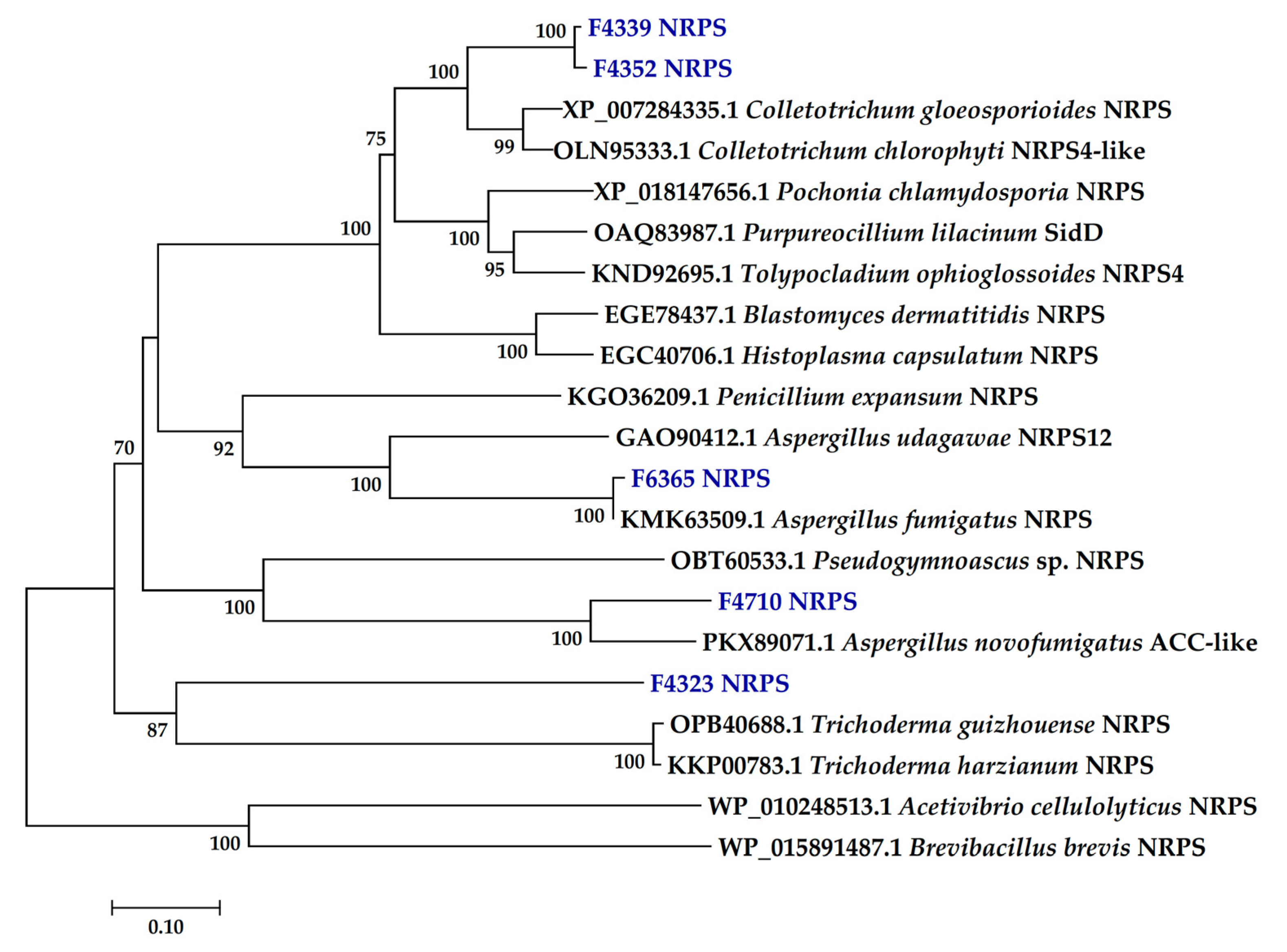 Ijms 24 01033 g003 Ijms 24 01033 g003