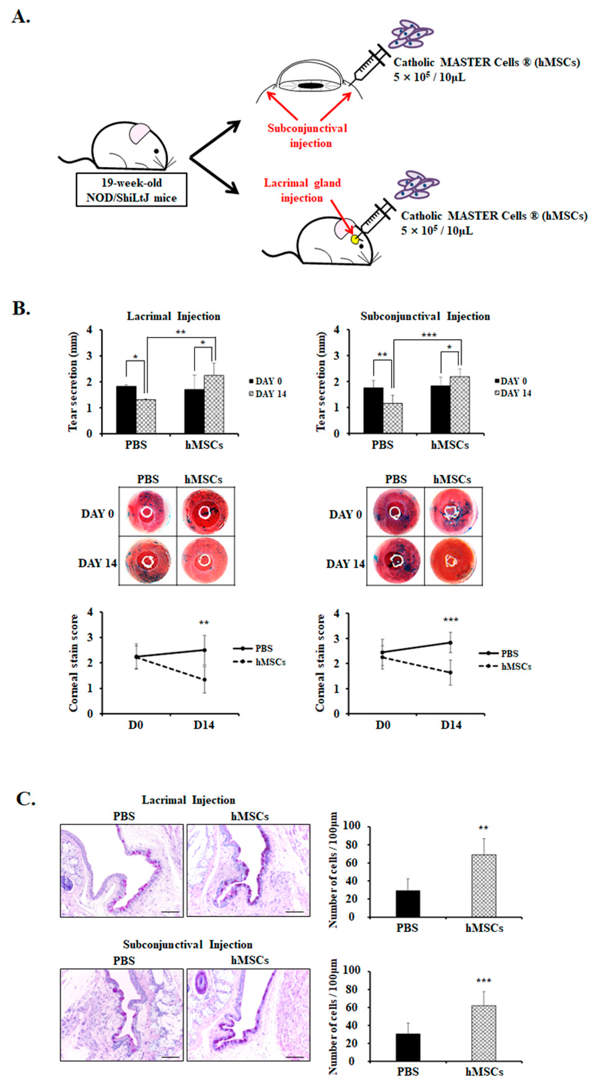 Ijms 24 01039 g001 Ijms 24 01039 g001