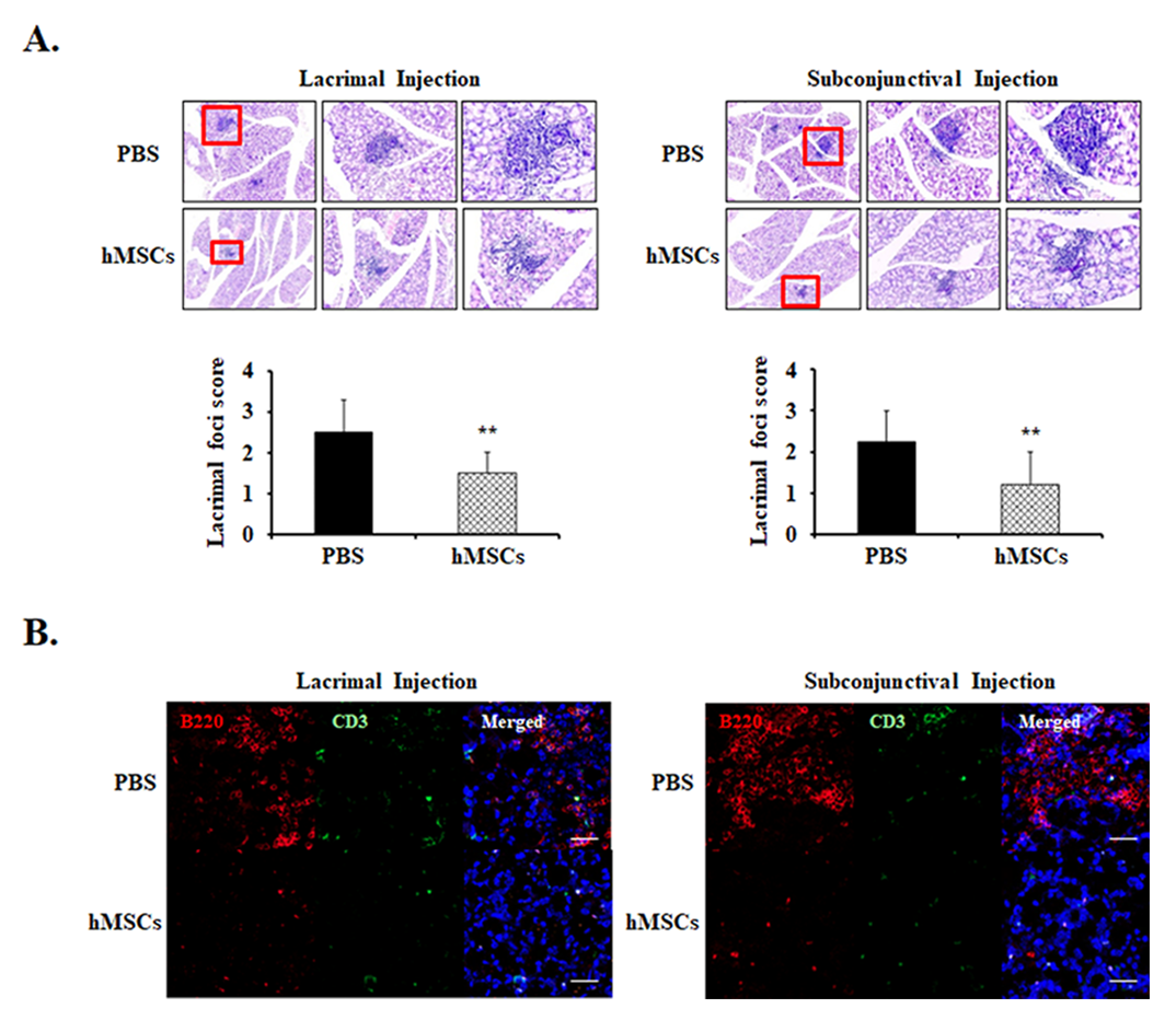 Ijms 24 01039 g002 Ijms 24 01039 g002