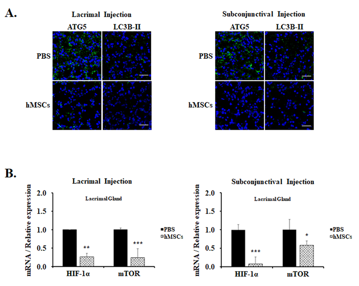 Ijms 24 01039 g003 Ijms 24 01039 g003