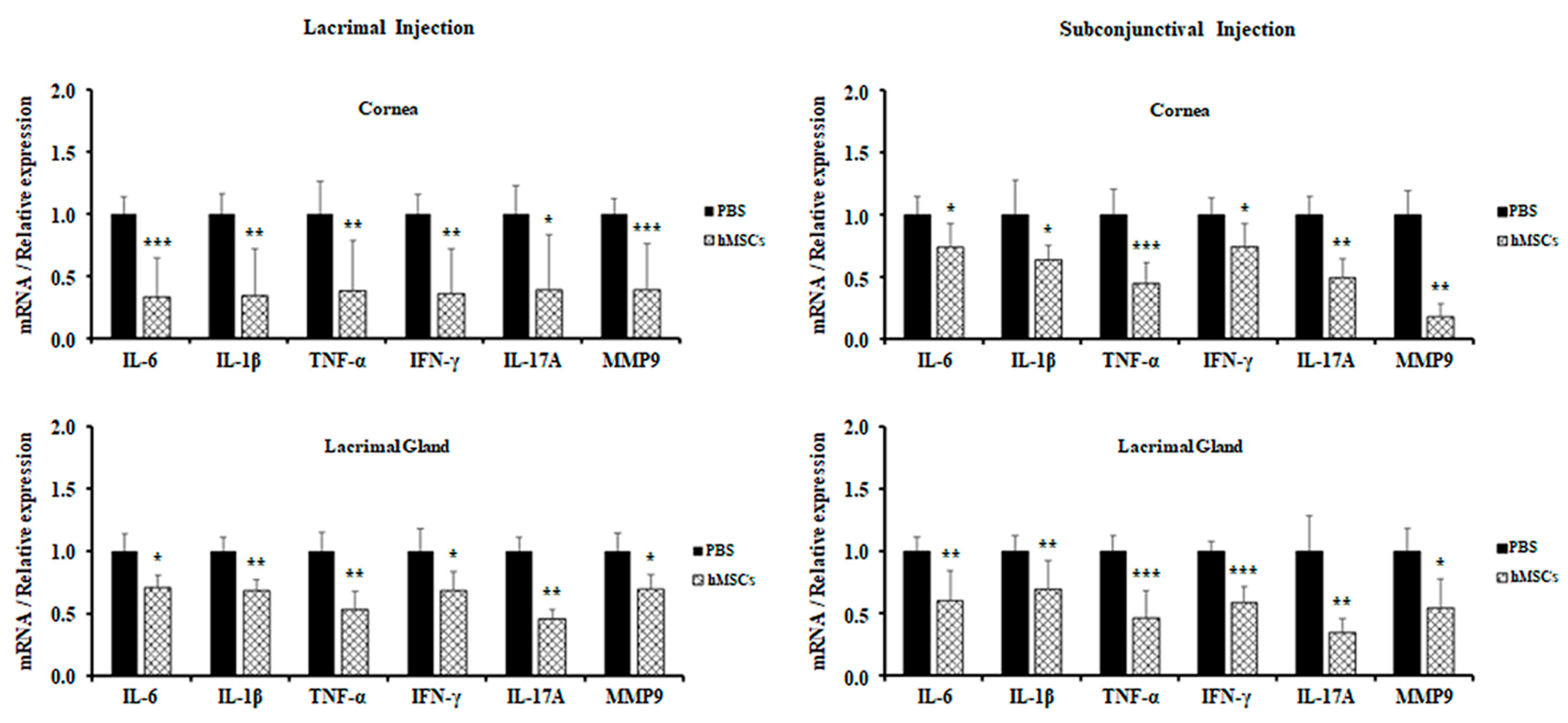 Ijms 24 01039 g004 Ijms 24 01039 g004