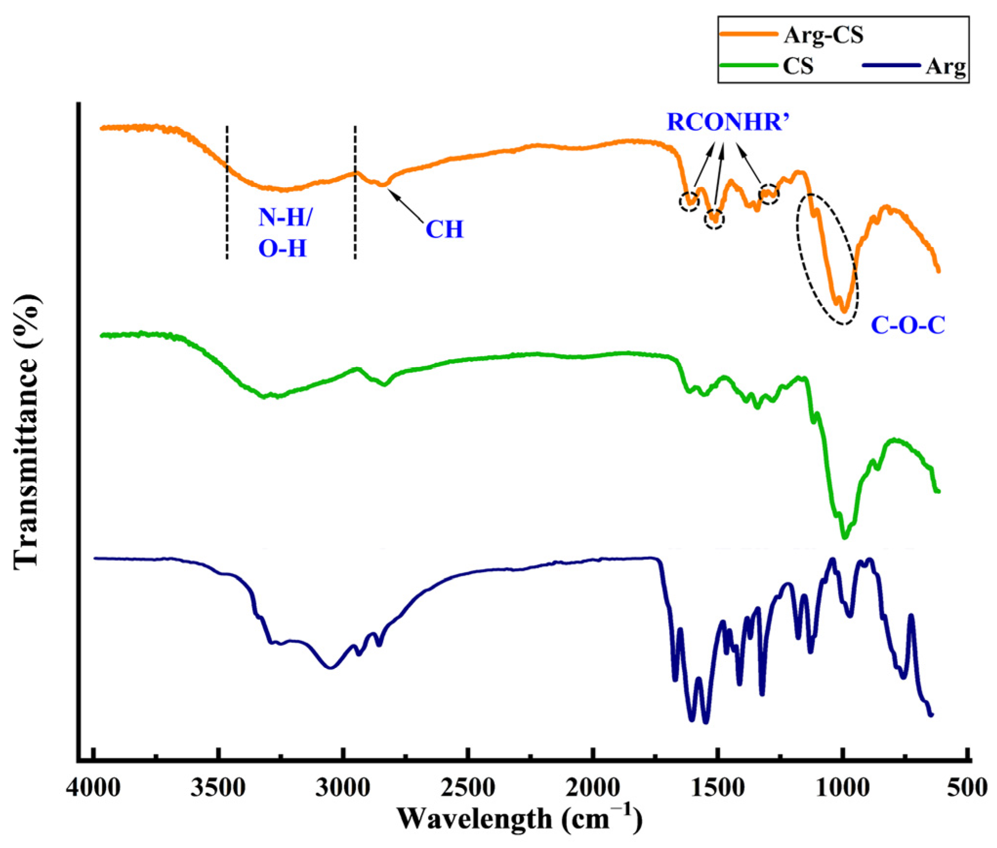 Ijms 24 01040 g001 Ijms 24 01040 g001